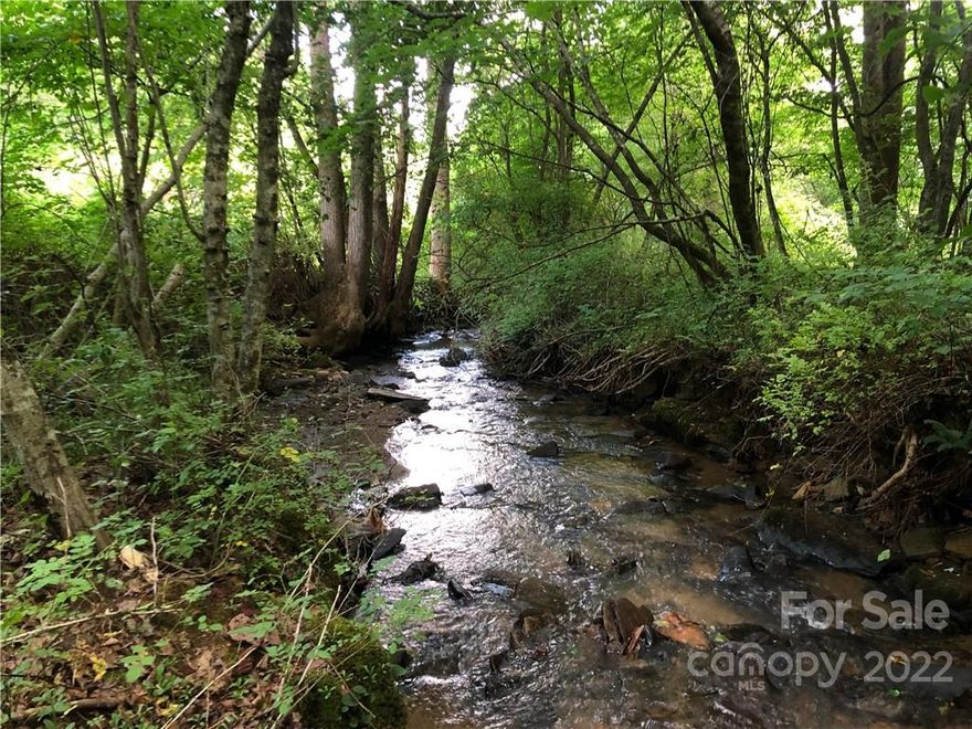 Amazing opportunity to own 27+ acres of mainly south and east facing land on Paint Fork Road in beautiful Barnardsville. Family owned for generations this is a rare gem. Approximately 300' of Paint Fork Creek runs across the front of the land as well as a smaller secondary stream/spring that feeds into it. This land was farmed and used as horse and cattle pasture for multiple generations. The owners have recently cleared portions of the bottom land to help folks see the potential that exist. With multiple build sites there are amazing possibilities here, a multi family homestead, vacation cabin or yurts, adventure camp? The sky's the limit! This would make a great working farm as no pesticides or chemicals have been used for over 20 years so organic gardening is a great possibility. For hikers, there are great boulders and cliffs to explore and the entire top of the mountain is a level saddle that would be great for camping and enjoying the almost 270 degree views. Check it out!