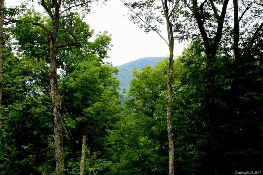 Wolf Laurel - Residential