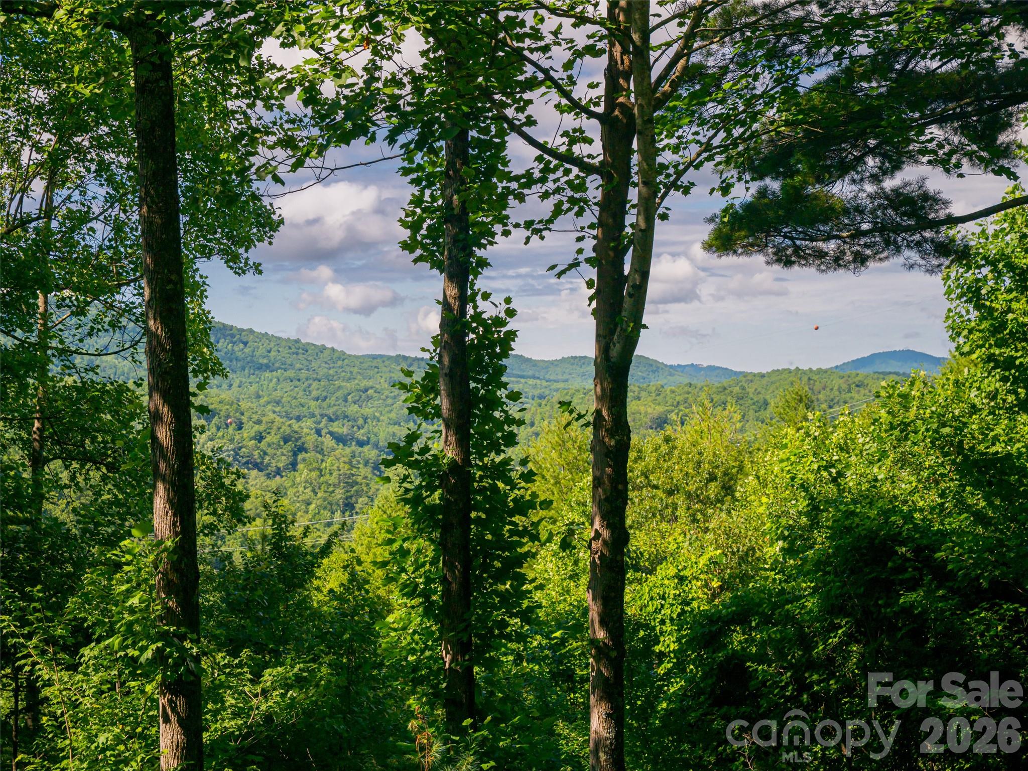 Whites Lake - Residential