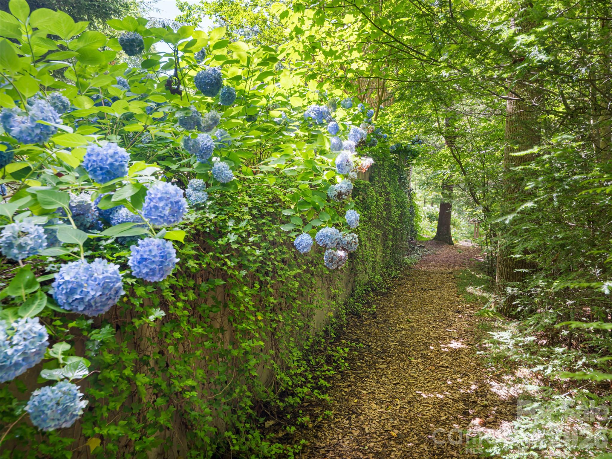 Whites Lake - Residential