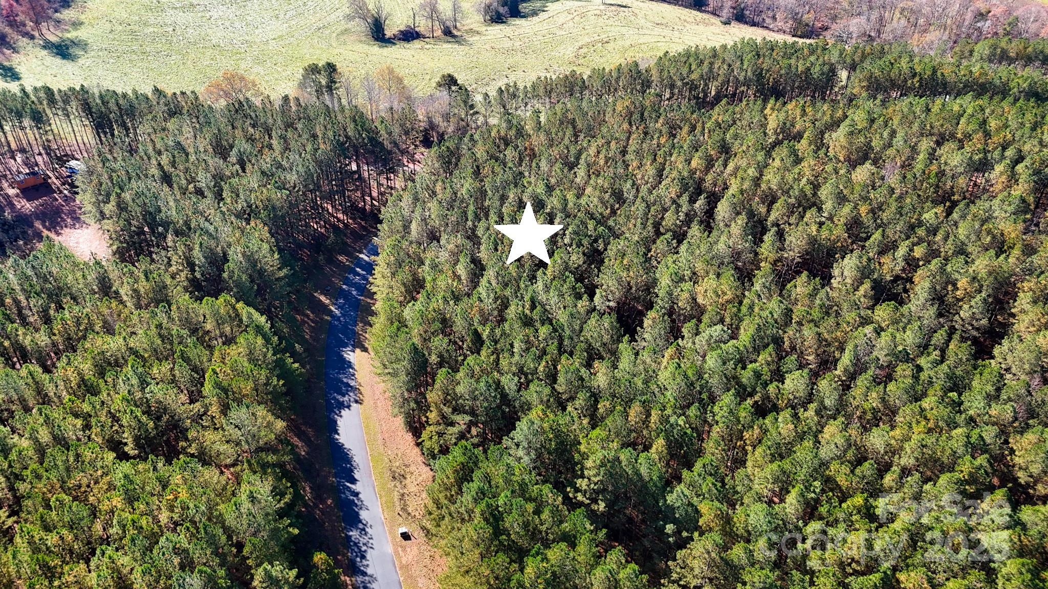 132 Whispering Pines Lane 63