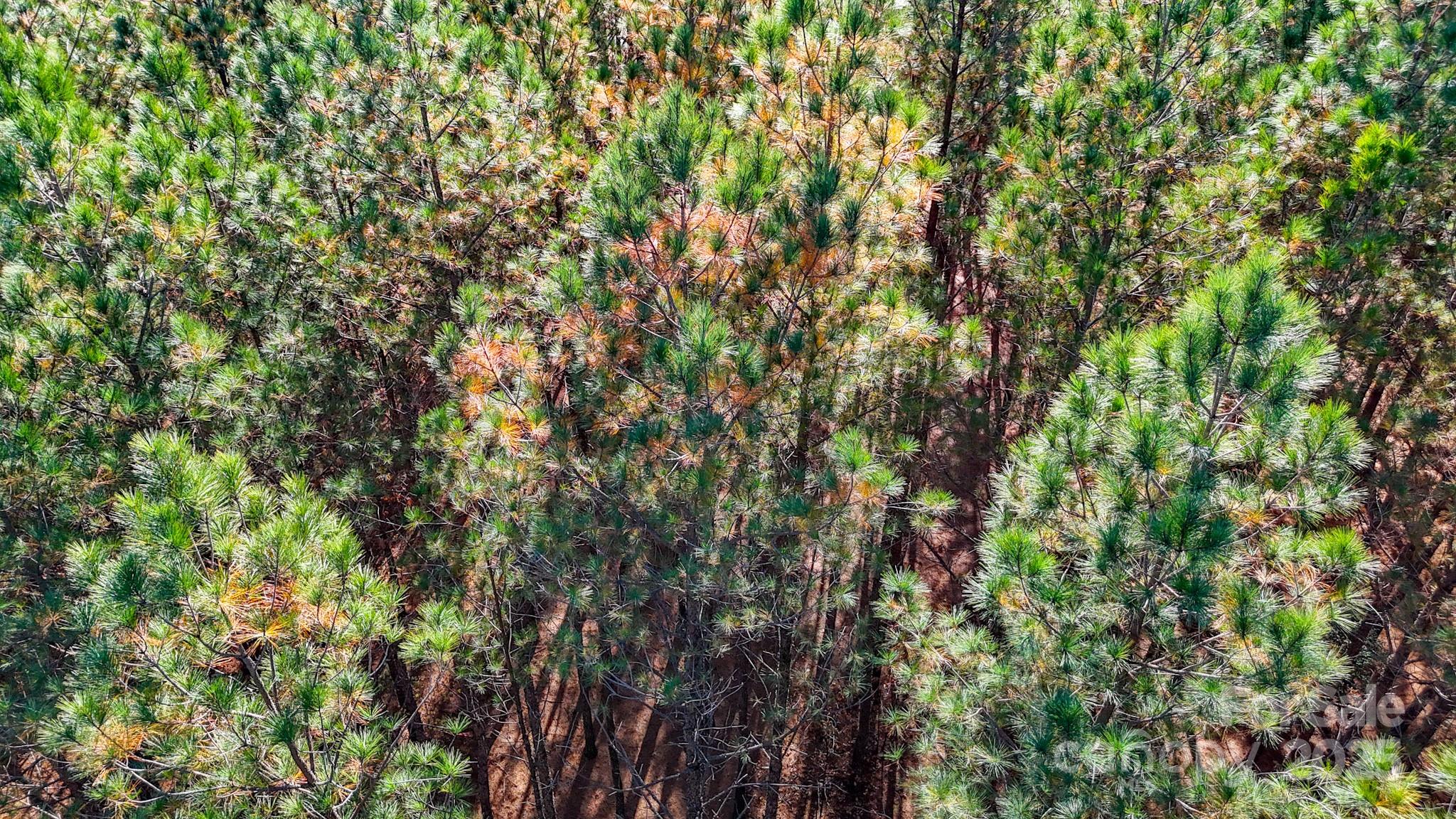 Broad River Highlands - Land