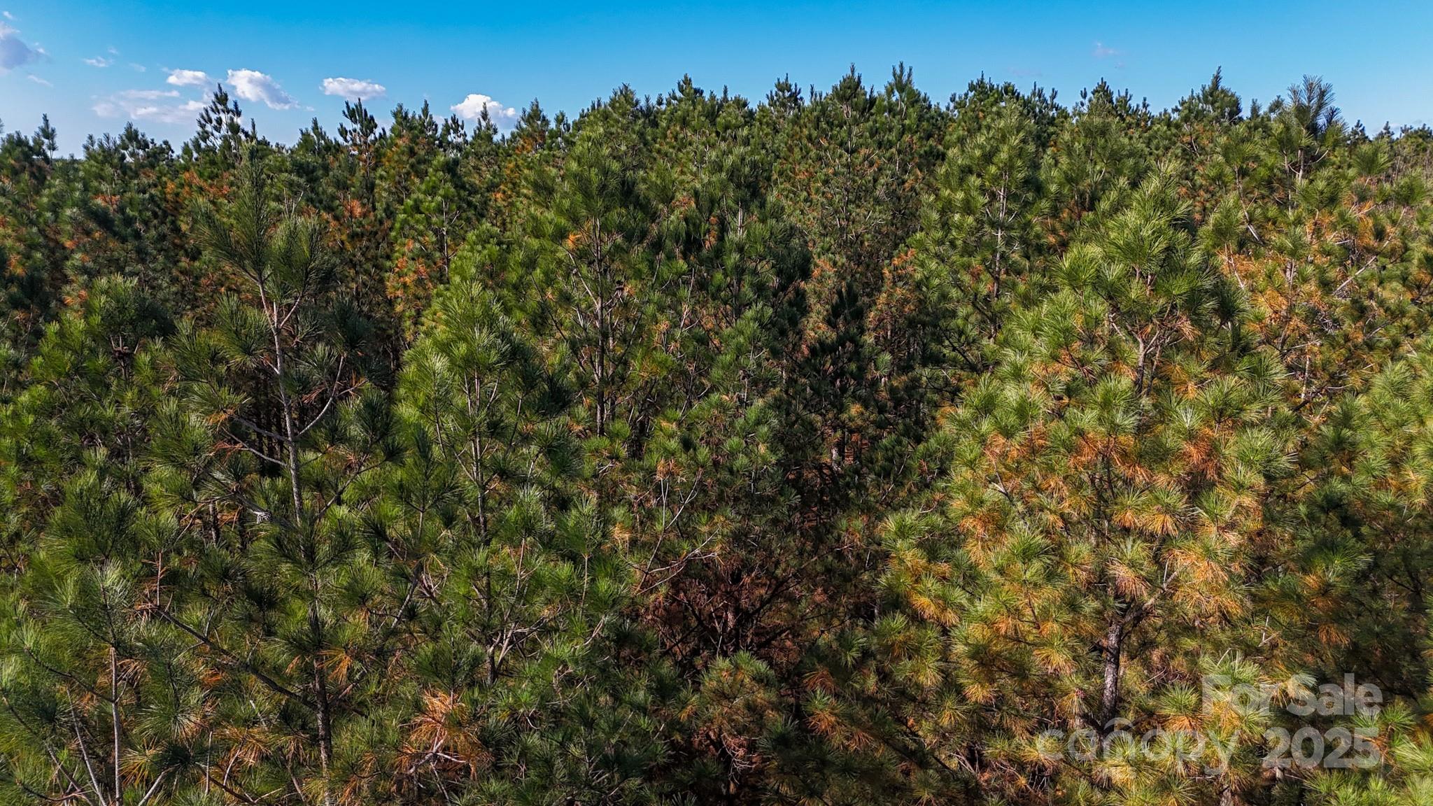 Broad River Highlands - Land