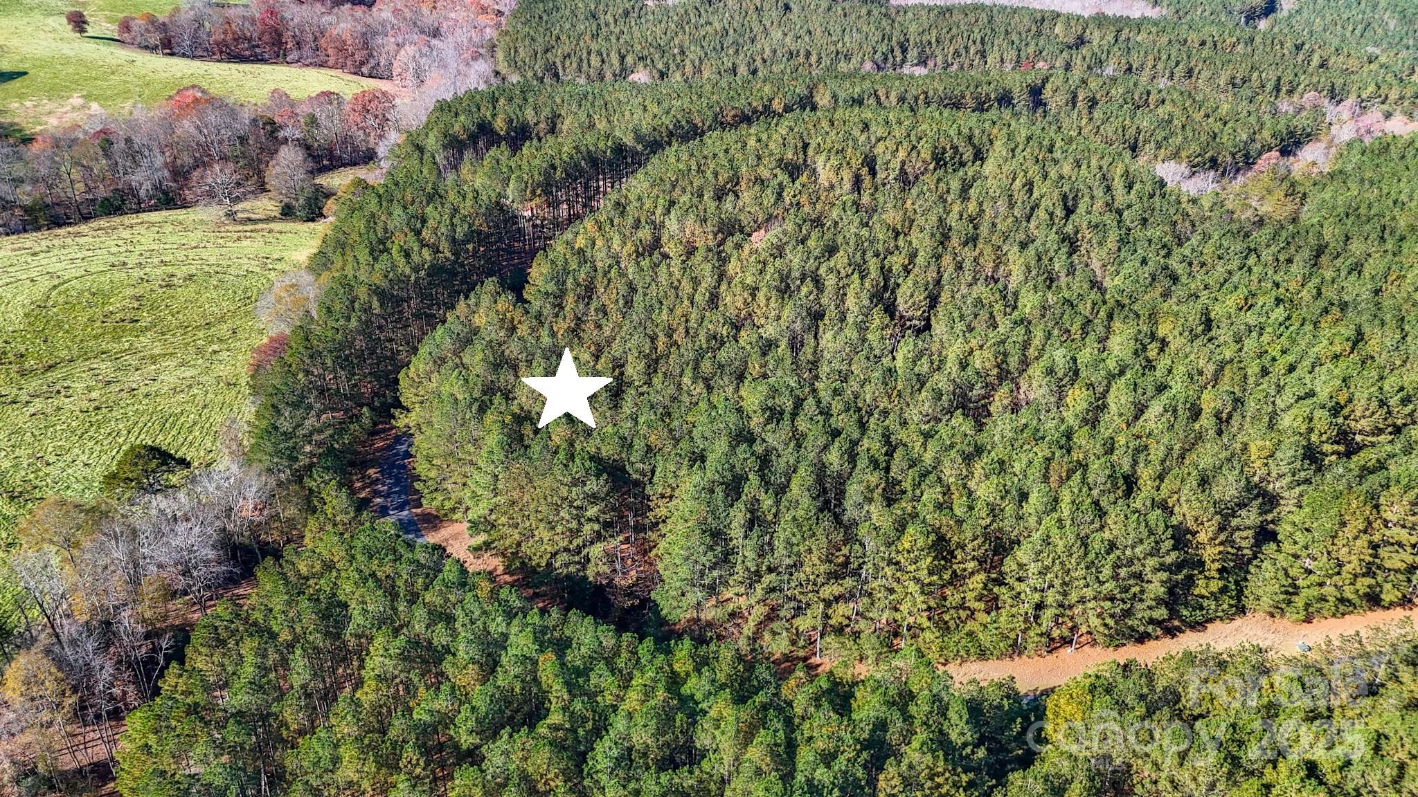 132 Whispering Pines Lane 63