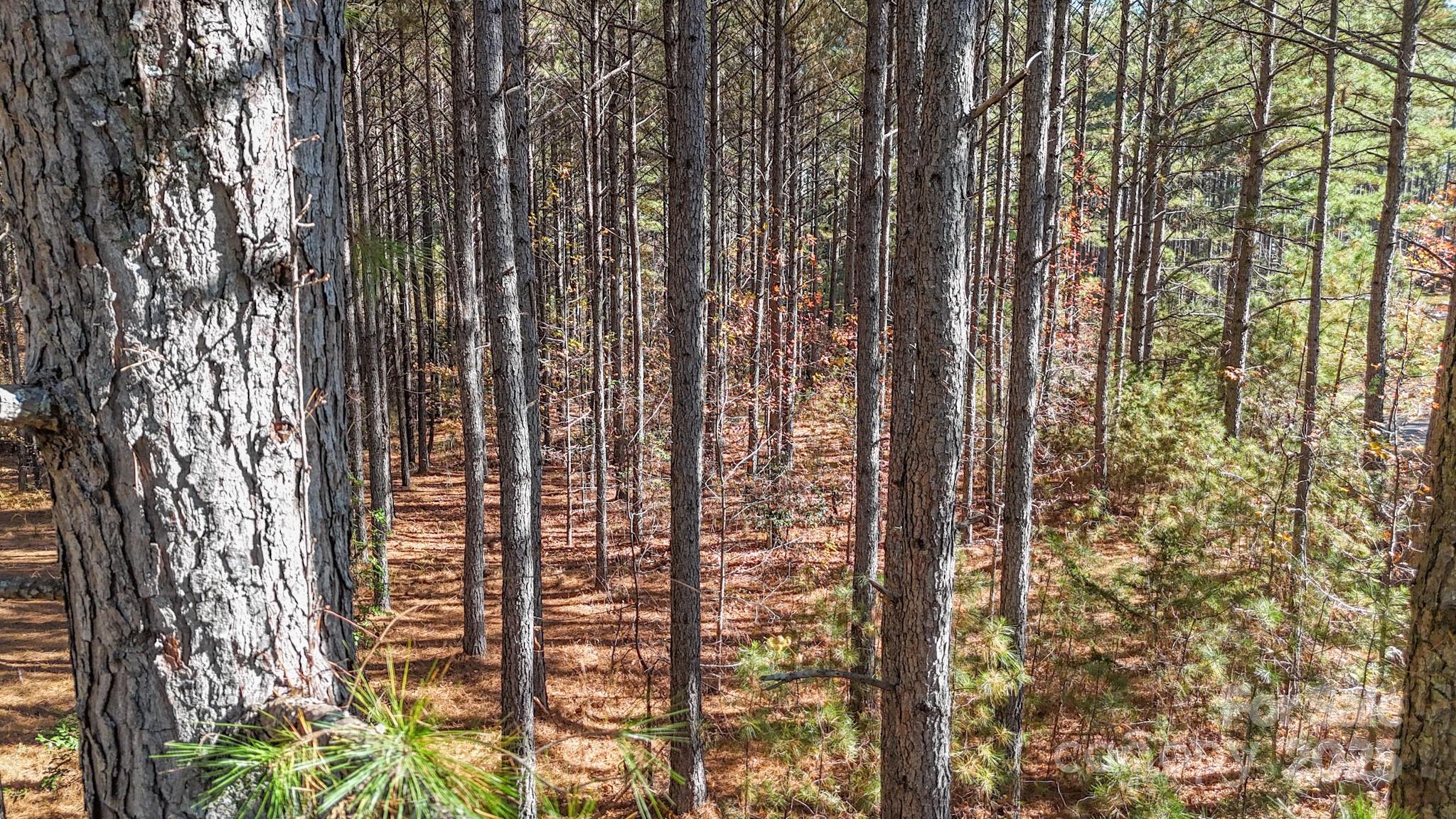 Broad River Highlands - Land