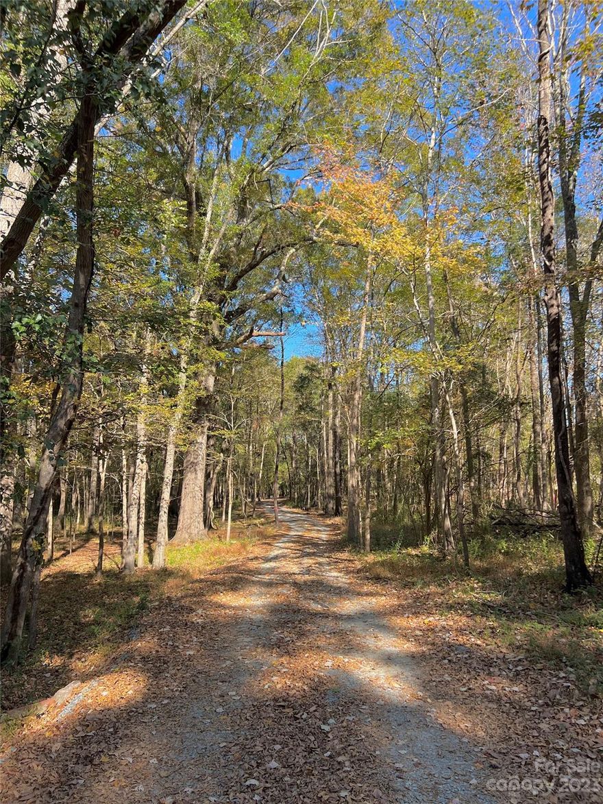 Amazing 5.2 acres with septic permit for a 4 bedroom home! The woods have been cleared and a gravel driveway is done! All you need to do is bring your builder!!! Beautiful tree lined driveway with a creek that runs along the outline of the property! No HOA!