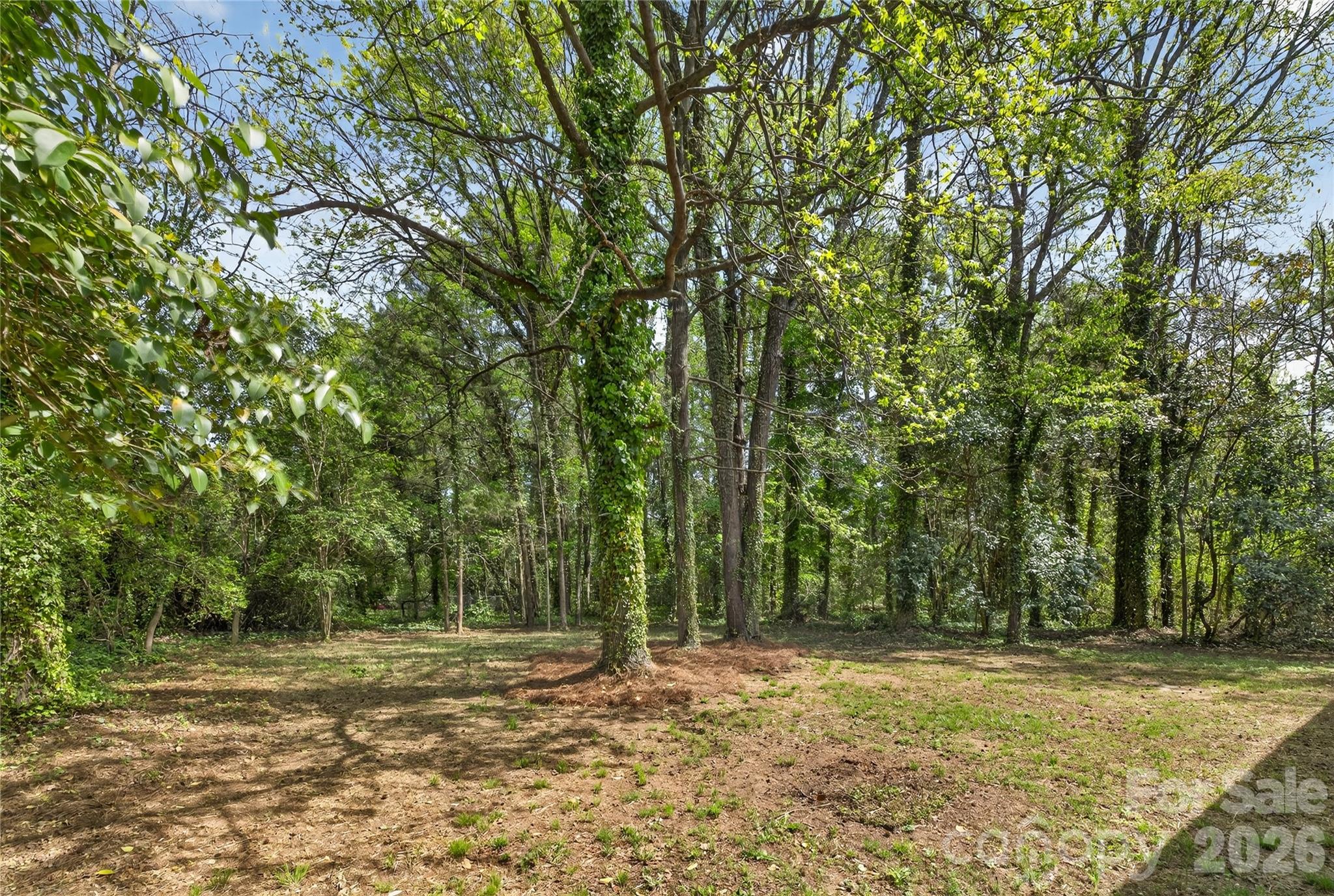 Hamilton Village - Residential