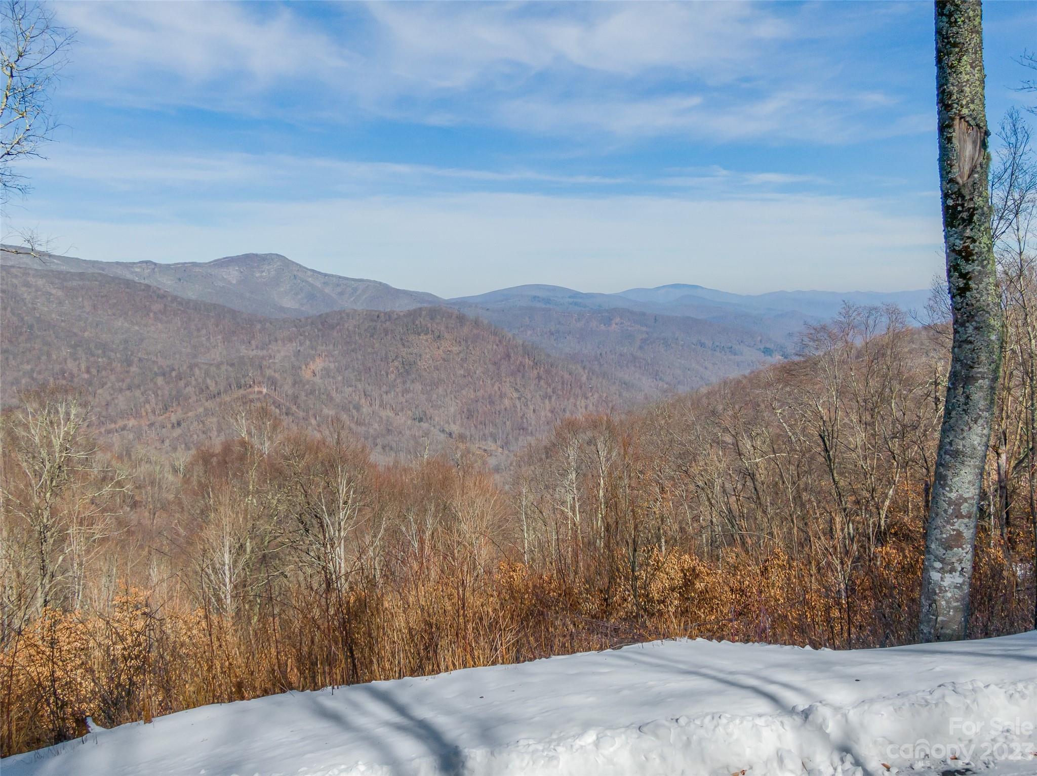 The Preserve at Wolf Laurel - Land
