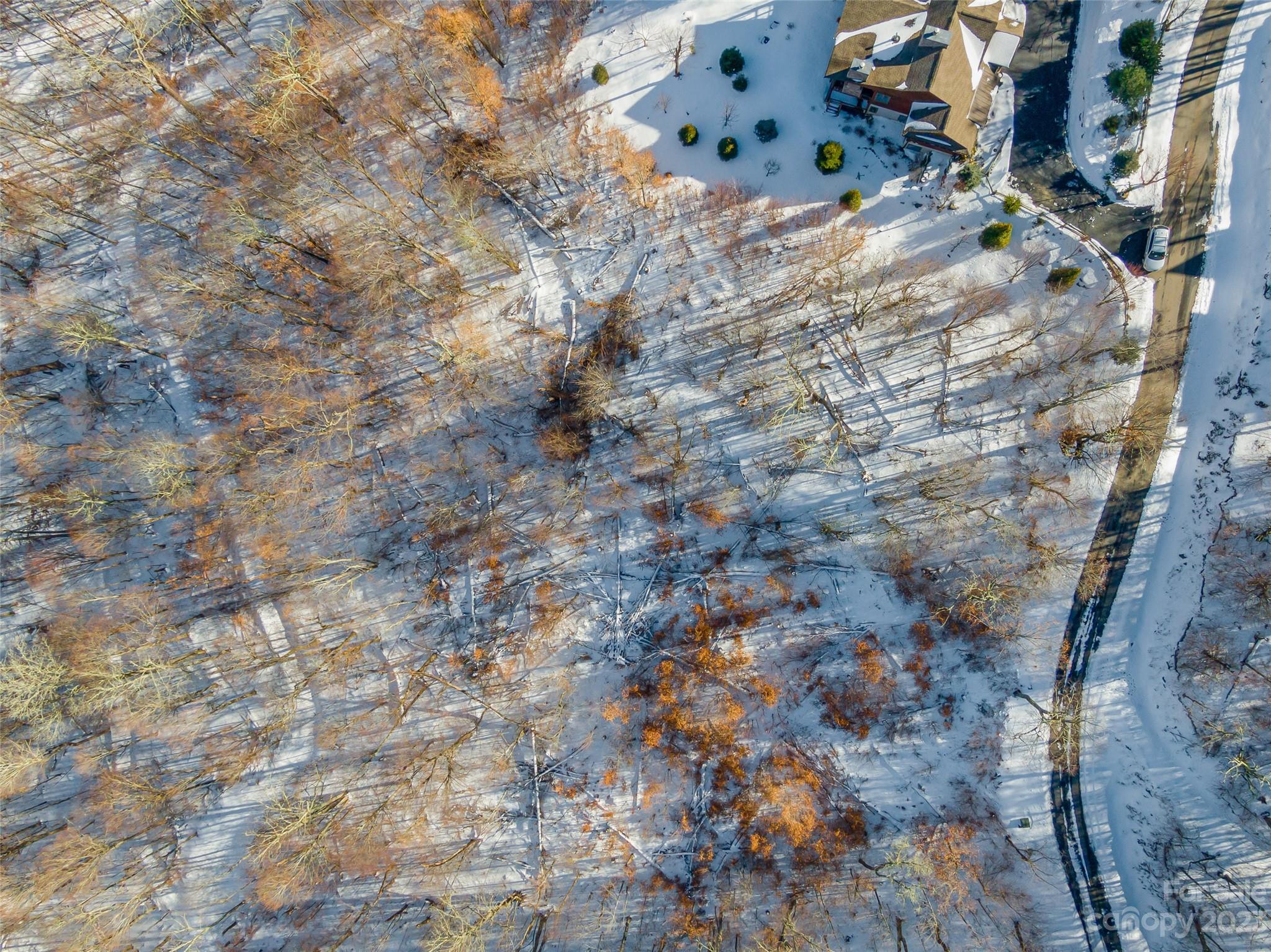 Lot 38 Black Bear Run