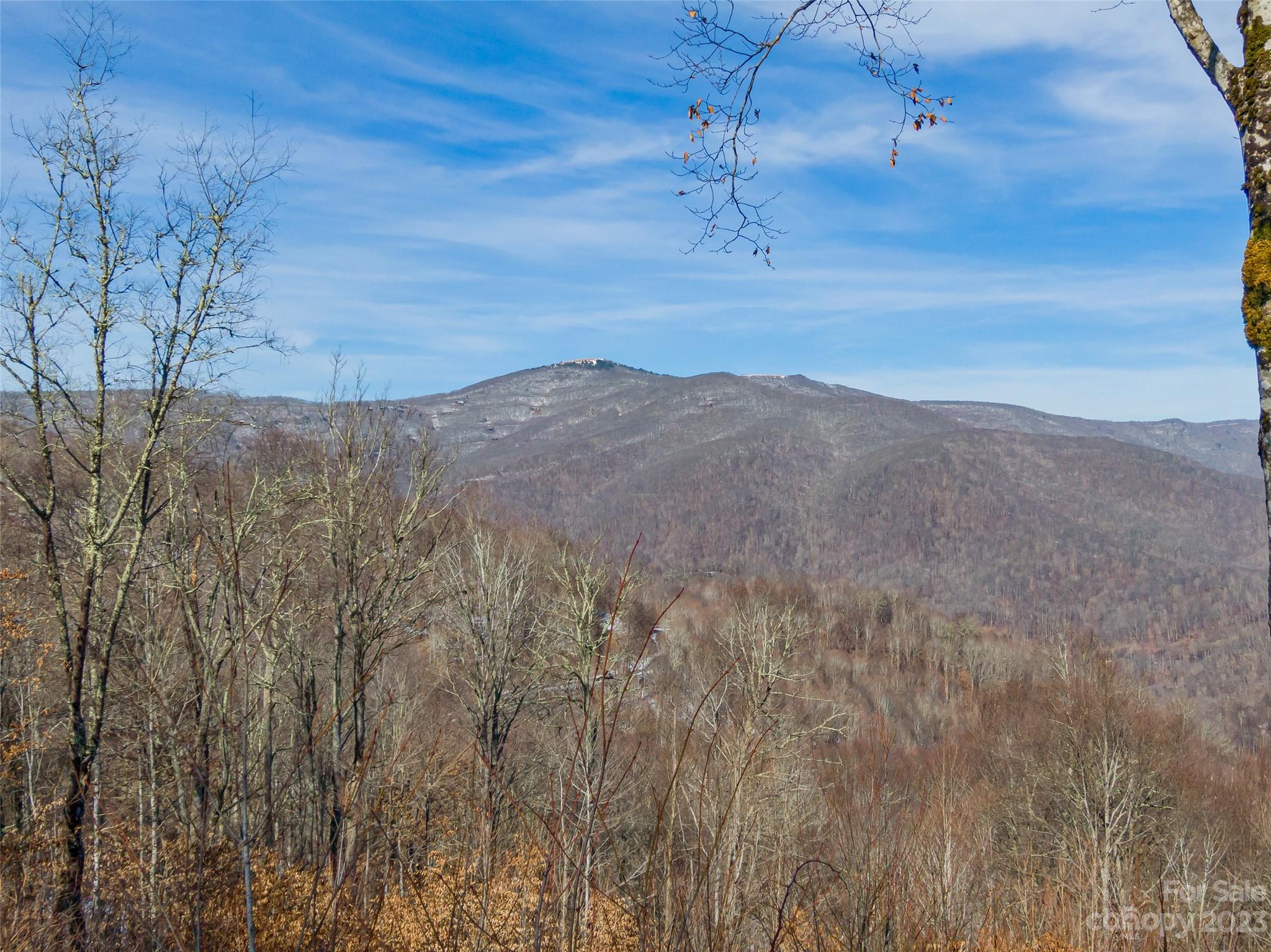 Lot 38 Black Bear Run