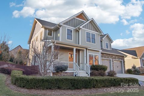 A home in Mills River