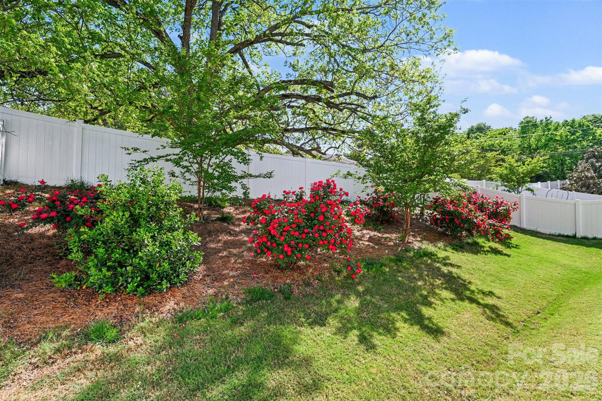 Tennyson - Residential