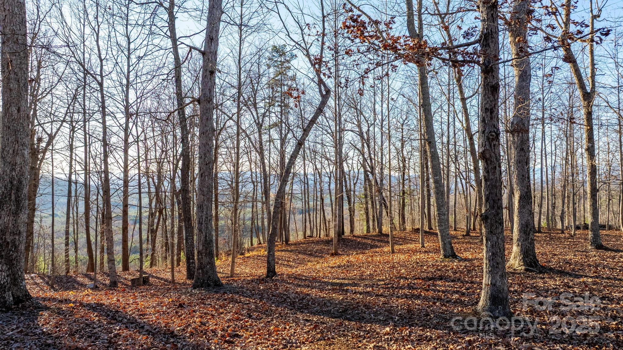 Grandview Peaks - Land