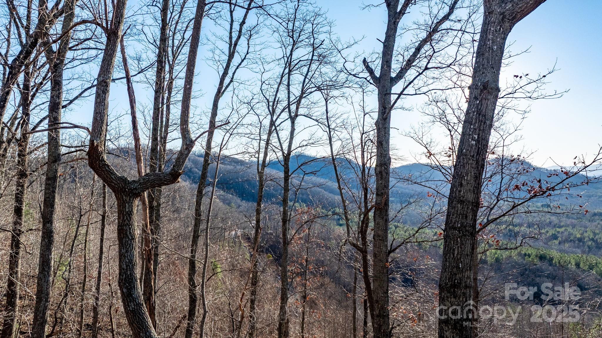 Grandview Peaks - Land