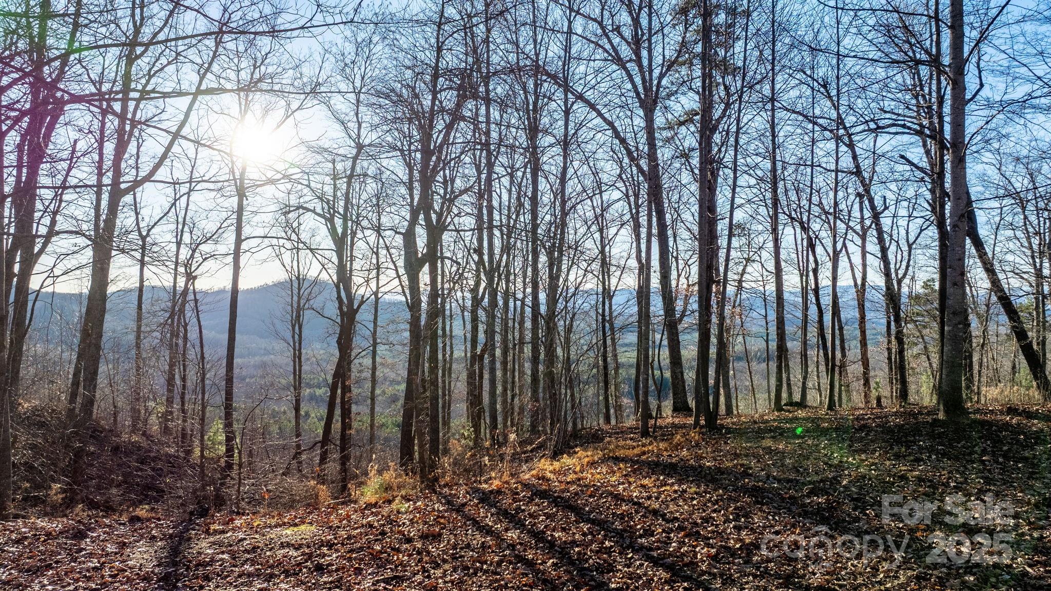 Grandview Peaks - Land