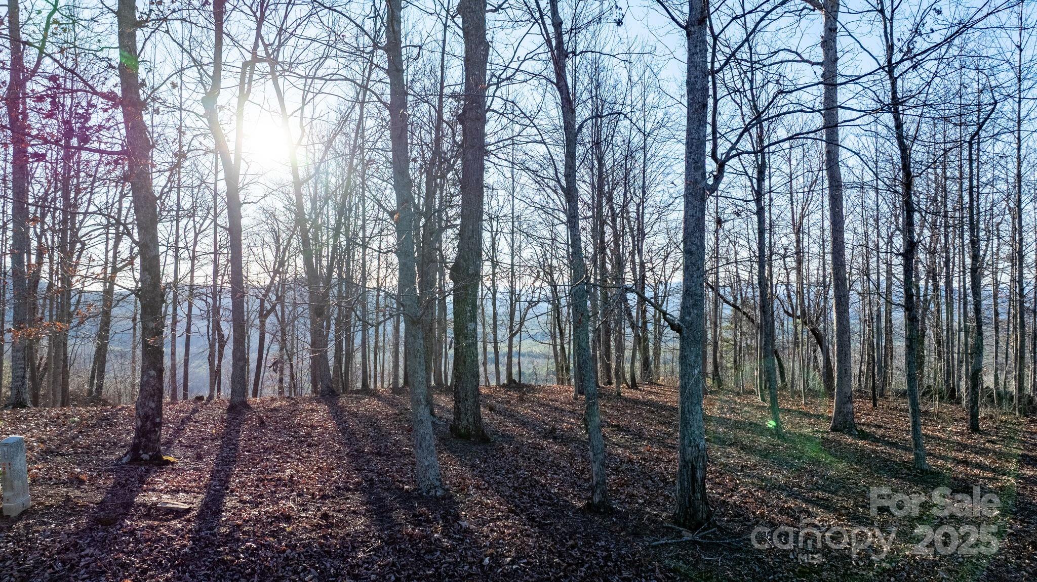 Grandview Peaks - Land