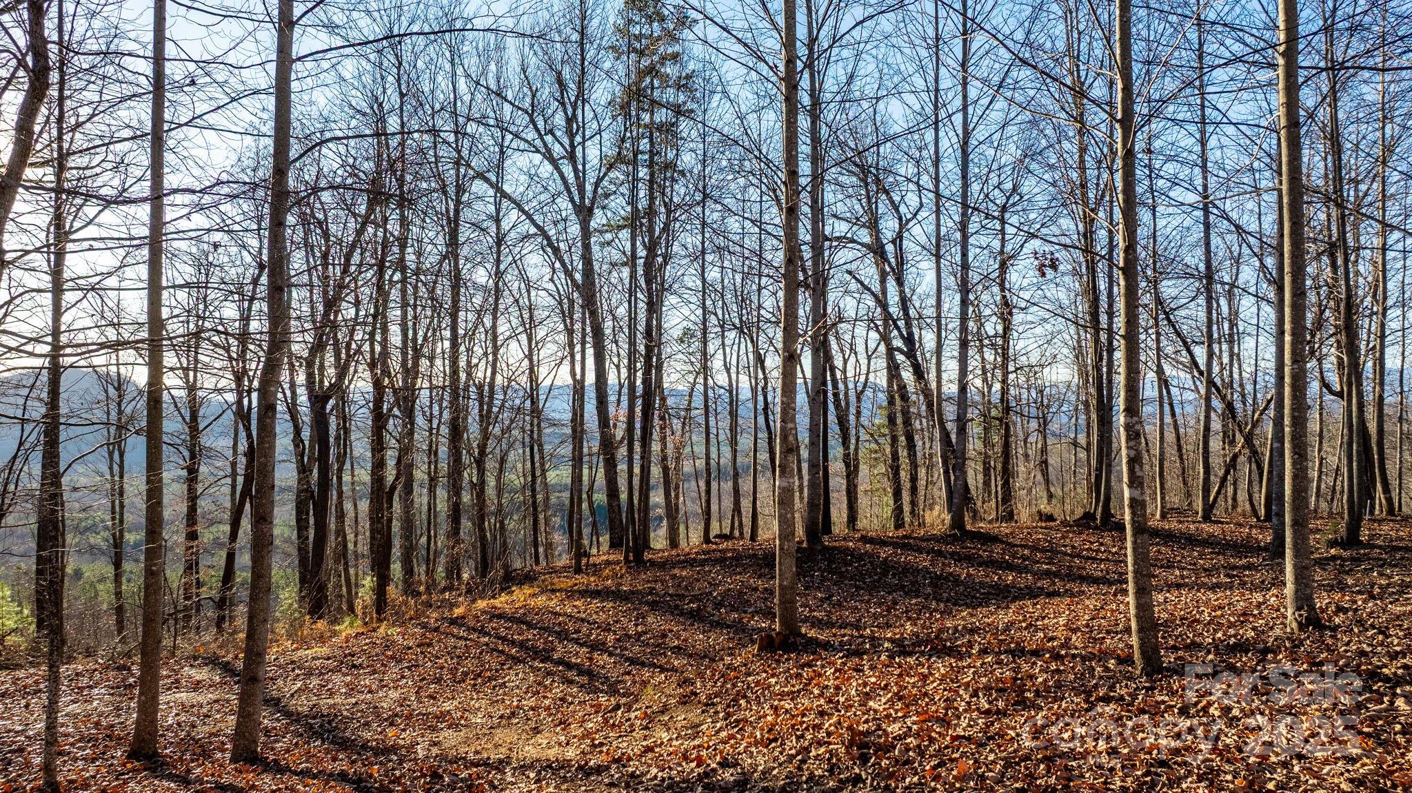 Grandview Peaks - Land