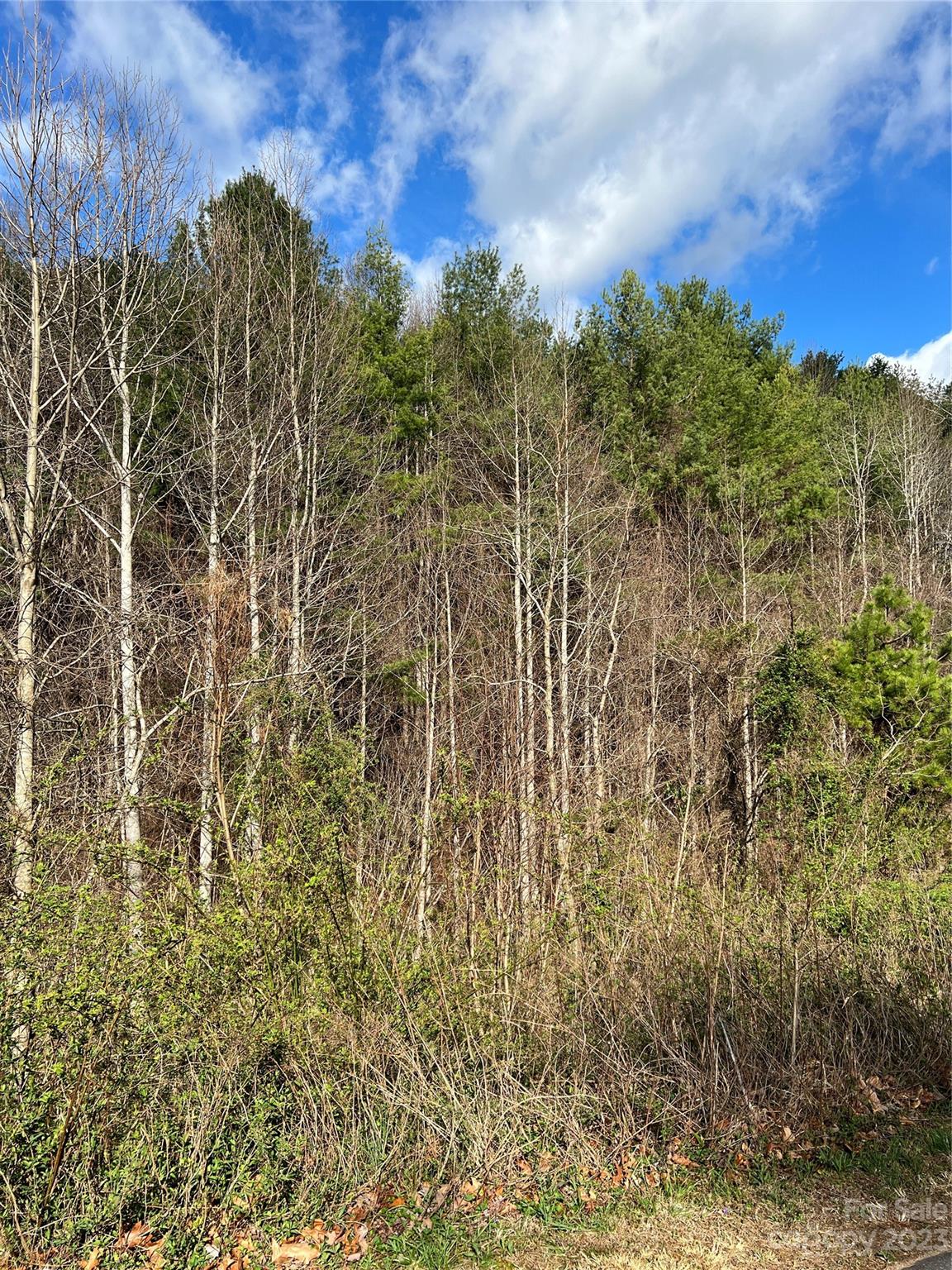 Moores Valley - Land