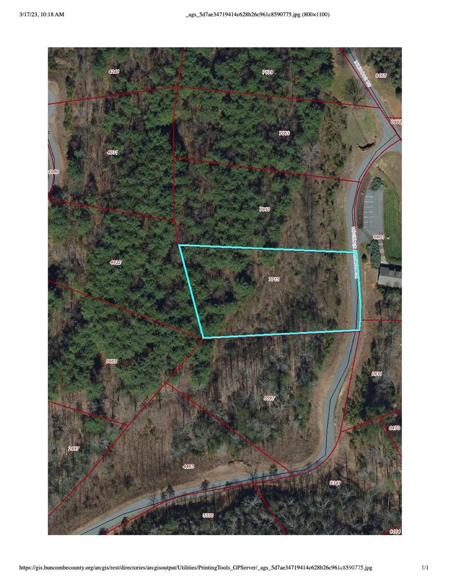 Gentle sloping lot in Moore's Valley. Gated community with lot of amenities - clubhouse, outdoor fireplace, open air pavilion, and hiking trails! Conveniently located off New Leicester Highway and less than 15 minutes to Downtown Asheville.