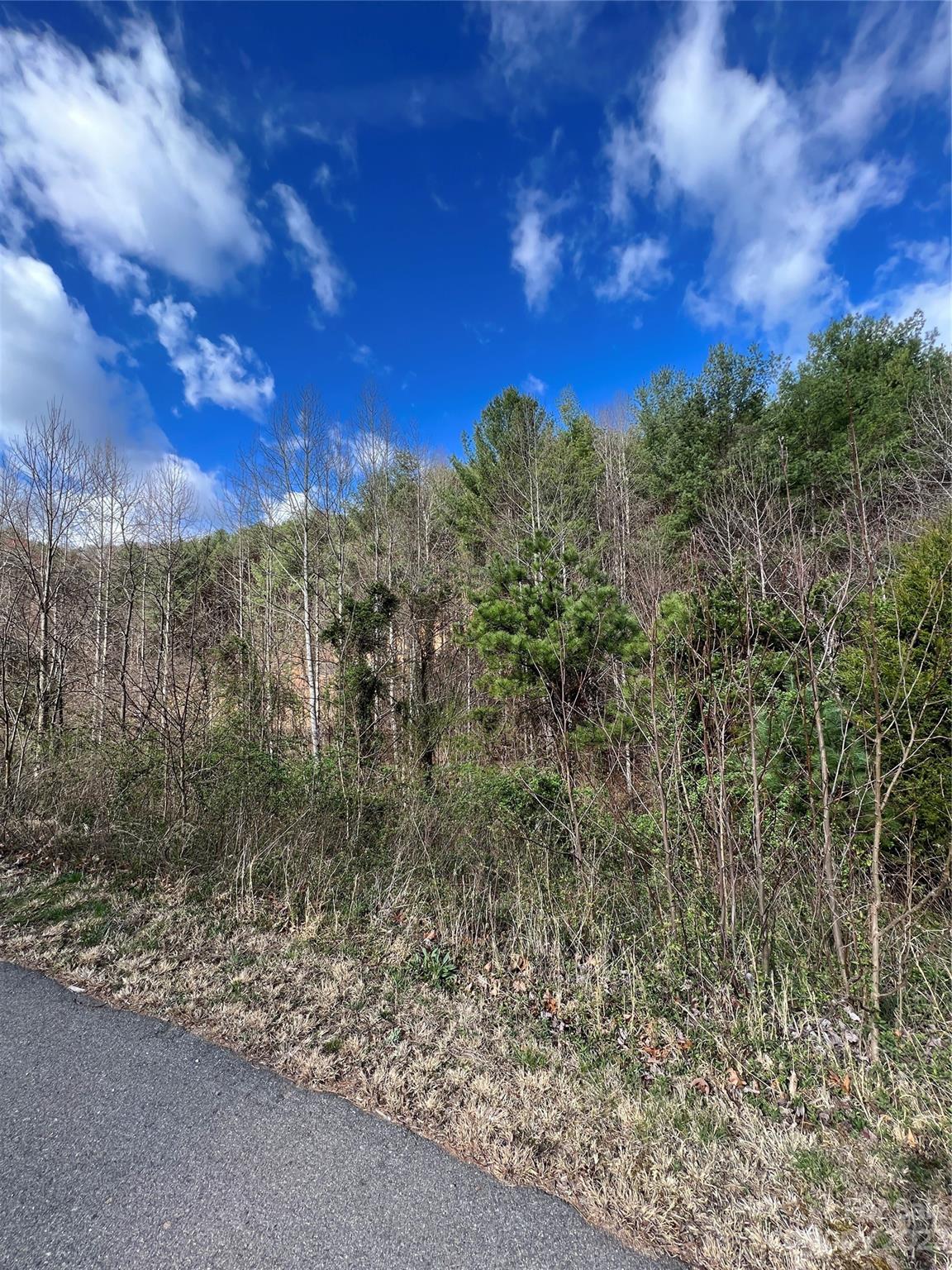 Moores Valley - Land