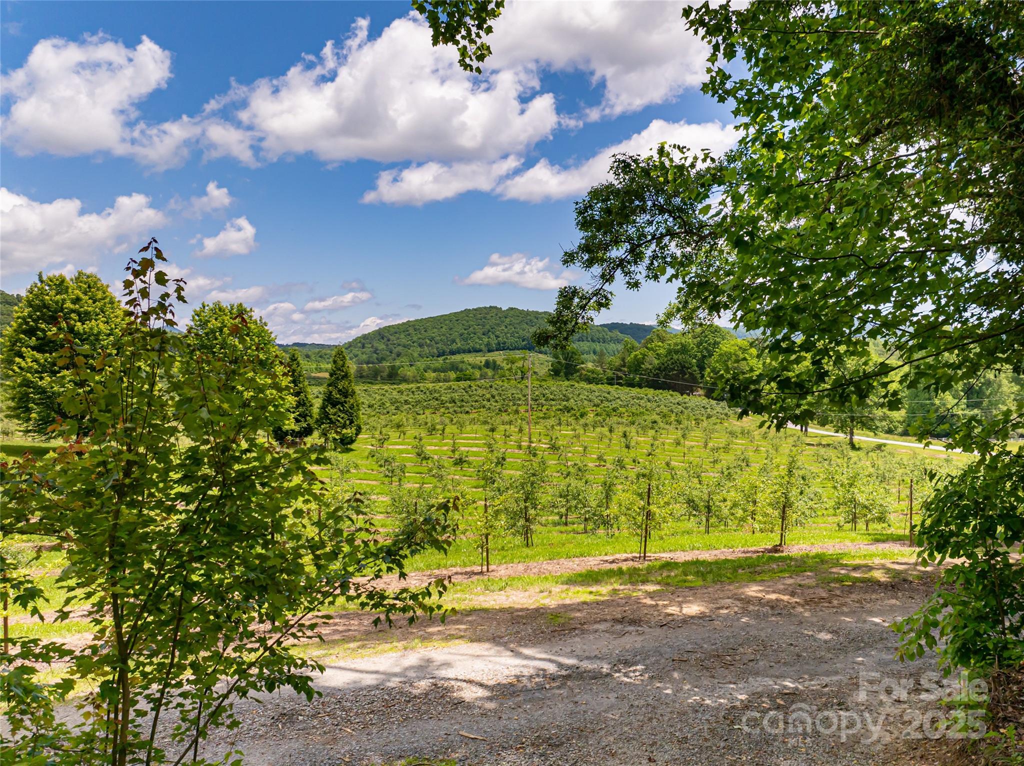 Moss Creek - Residential