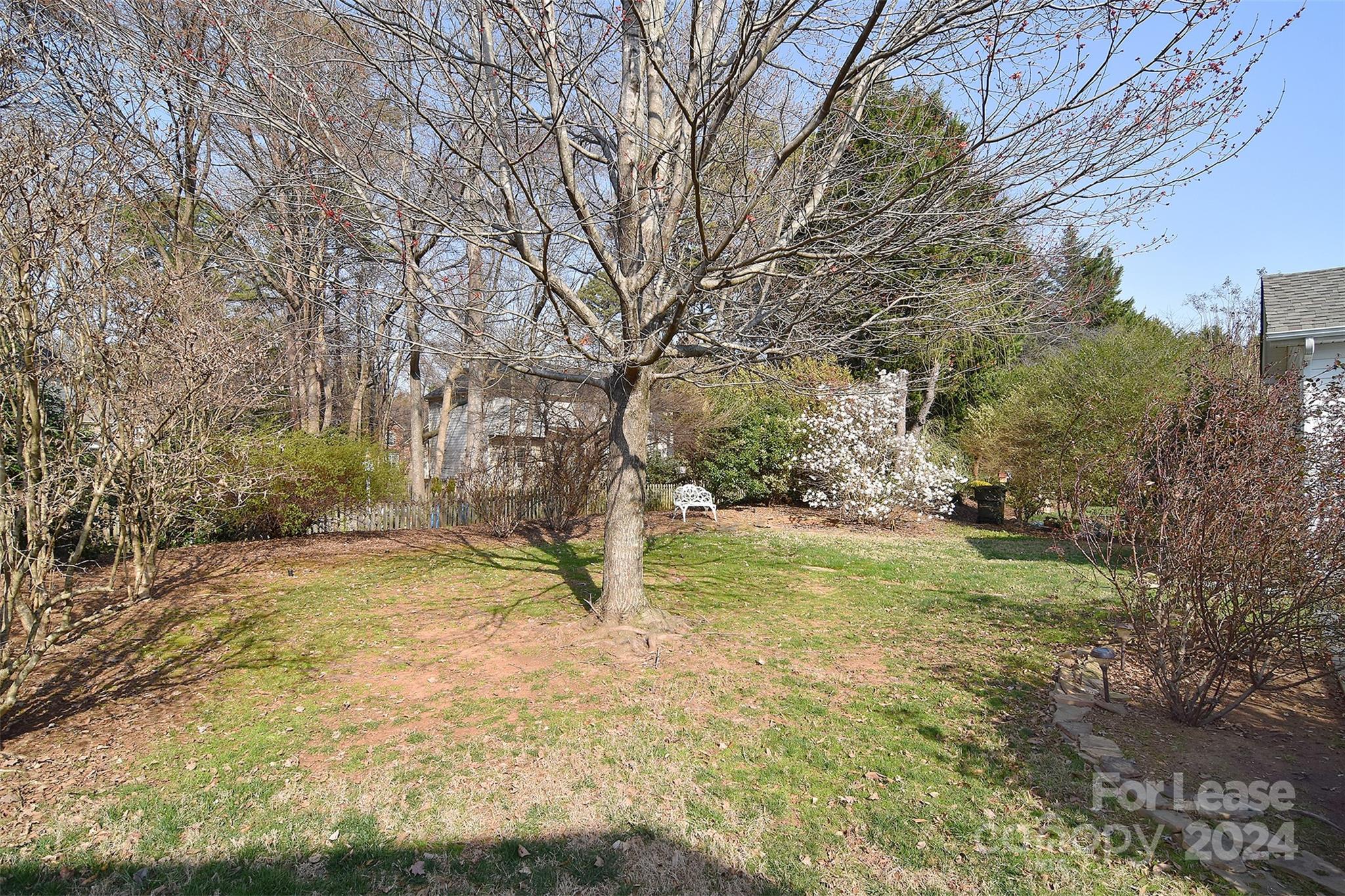 Macaulay - Residential Lease