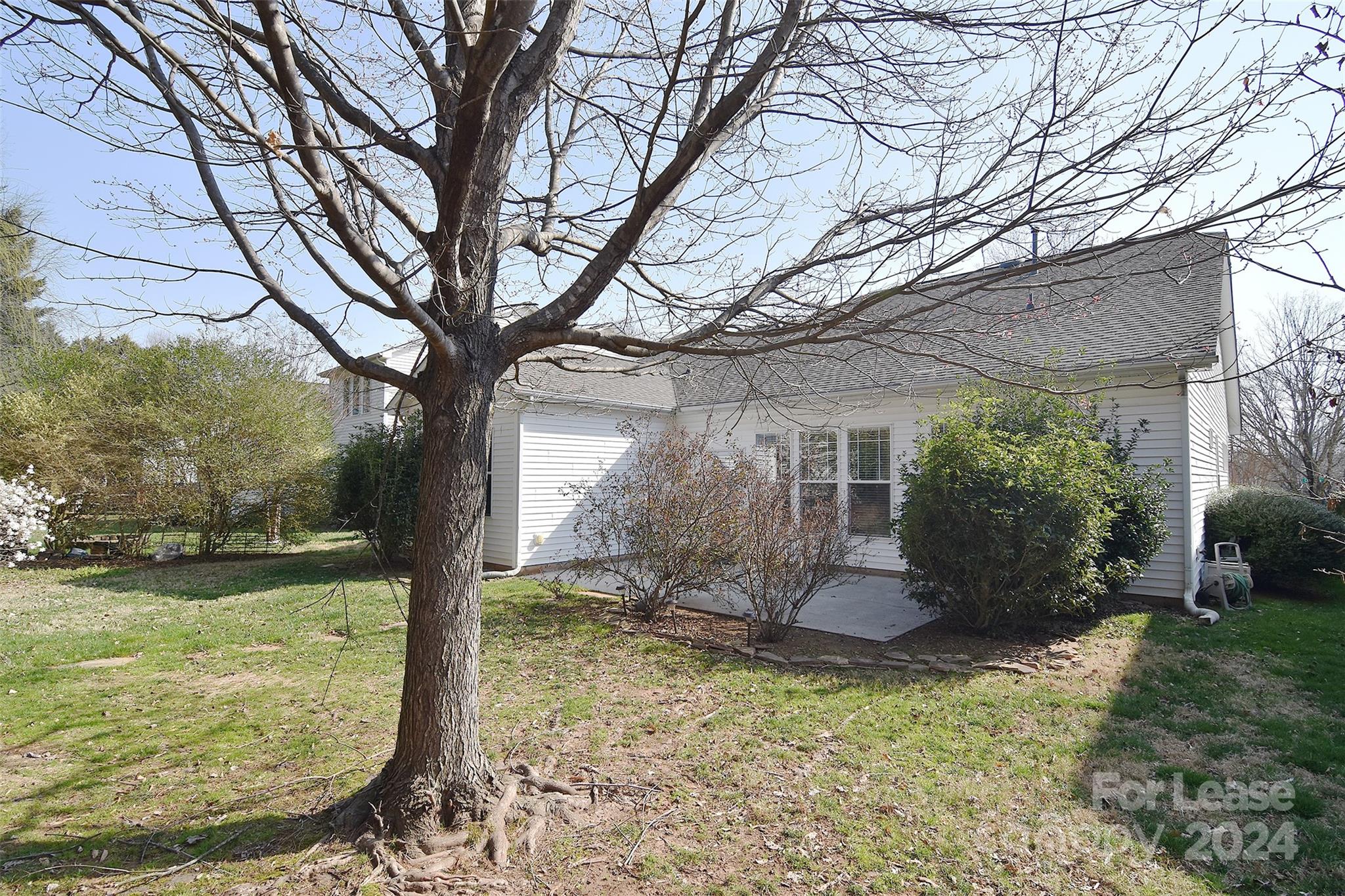 Macaulay - Residential Lease