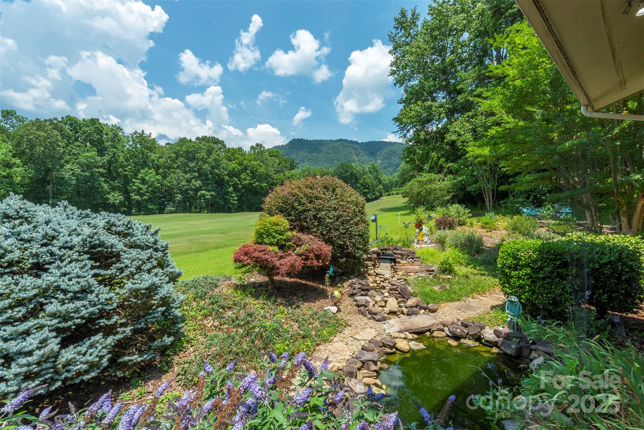 Rumbling Bald on Lake Lure - Residential