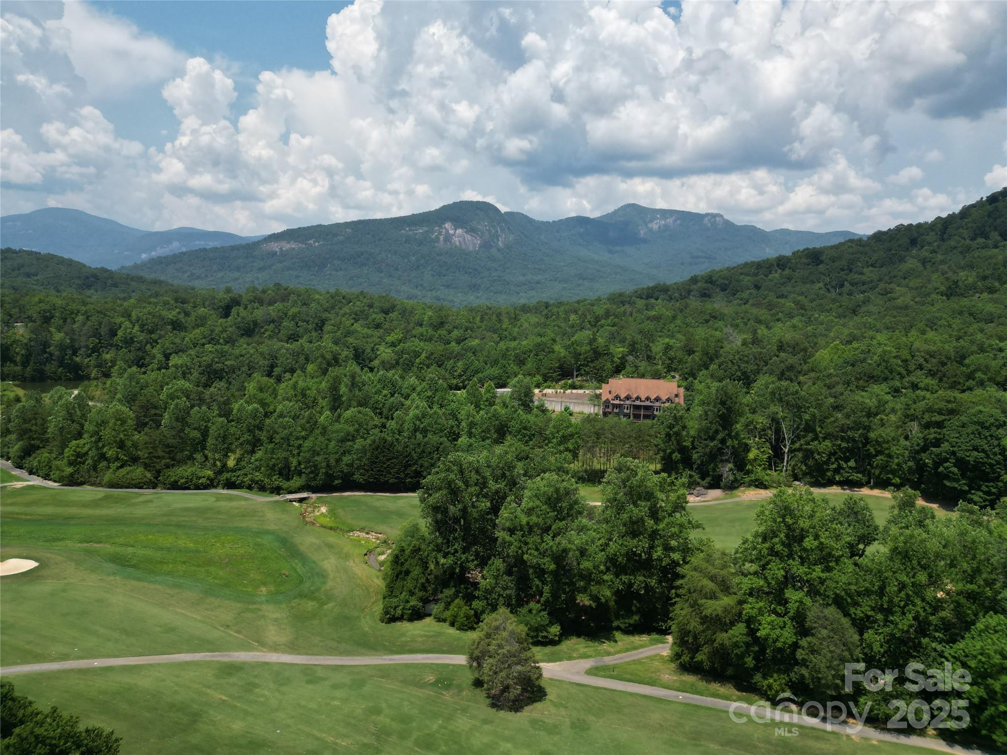 Rumbling Bald on Lake Lure - Residential
