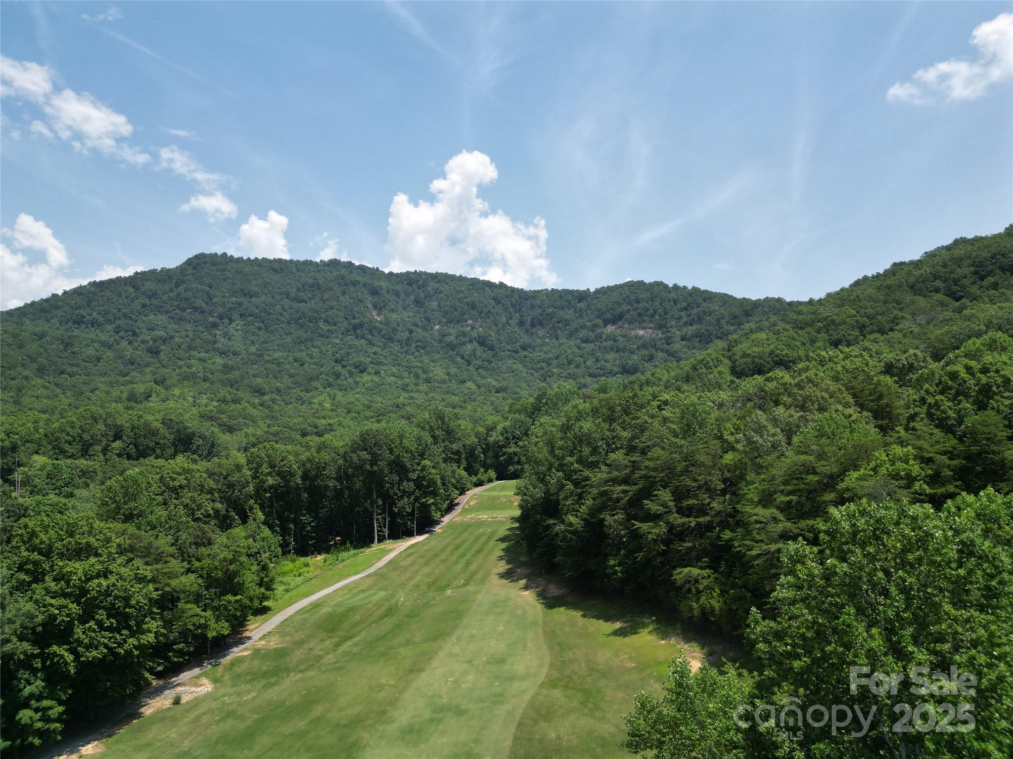 Rumbling Bald on Lake Lure - Residential