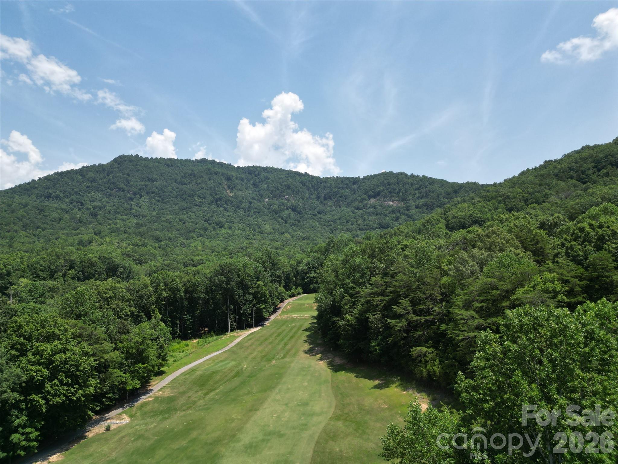 Rumbling Bald on Lake Lure - Residential