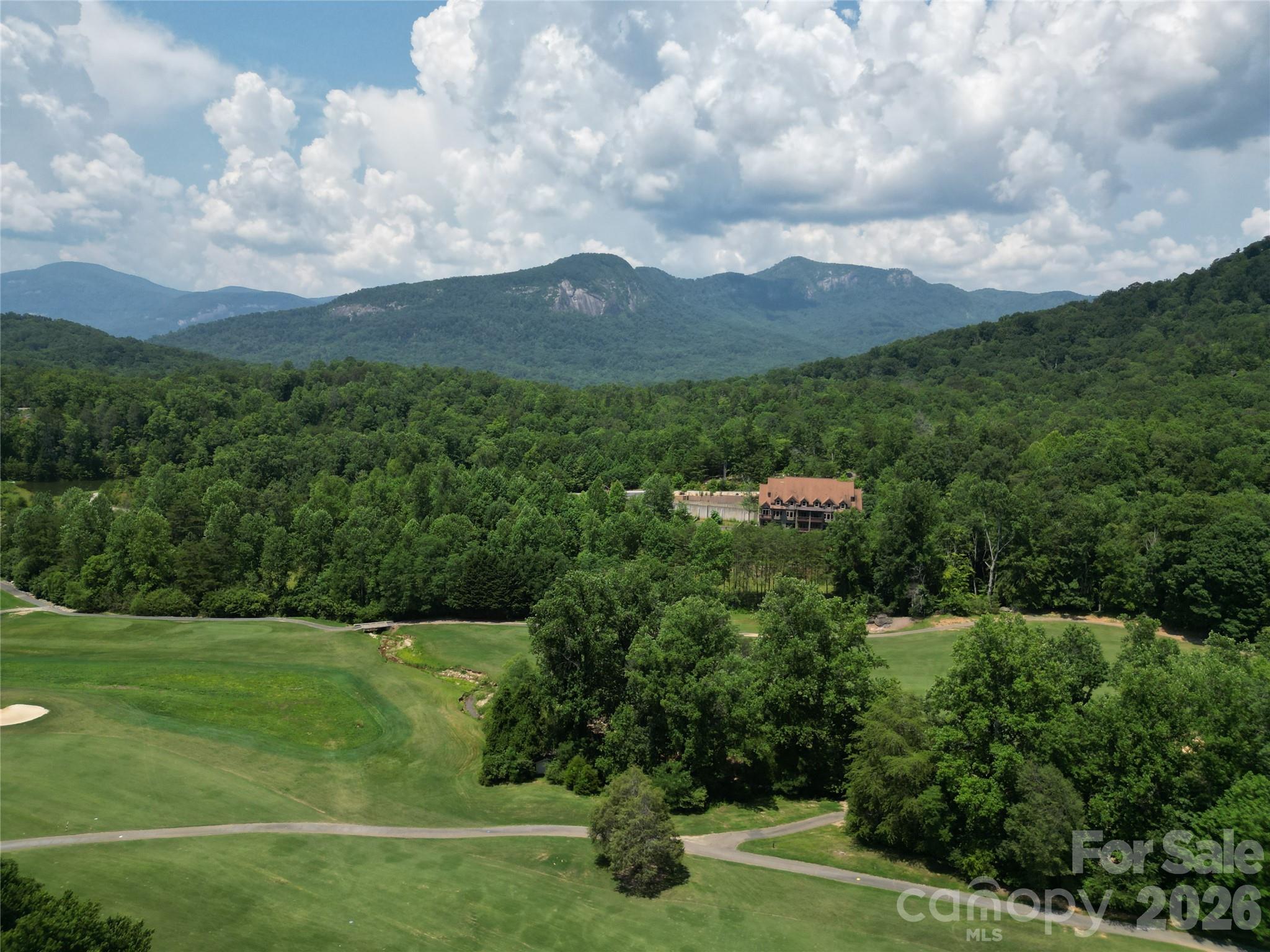 Rumbling Bald on Lake Lure - Residential