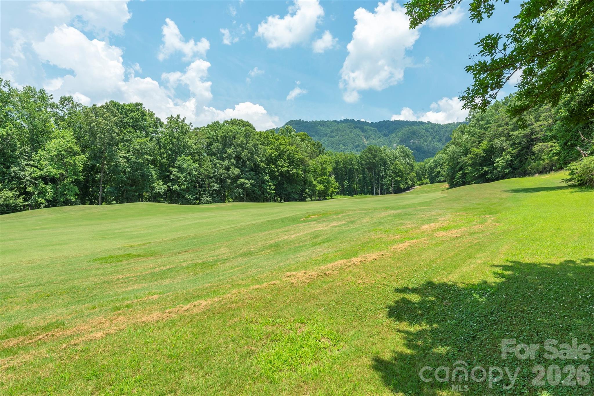 Rumbling Bald on Lake Lure - Residential