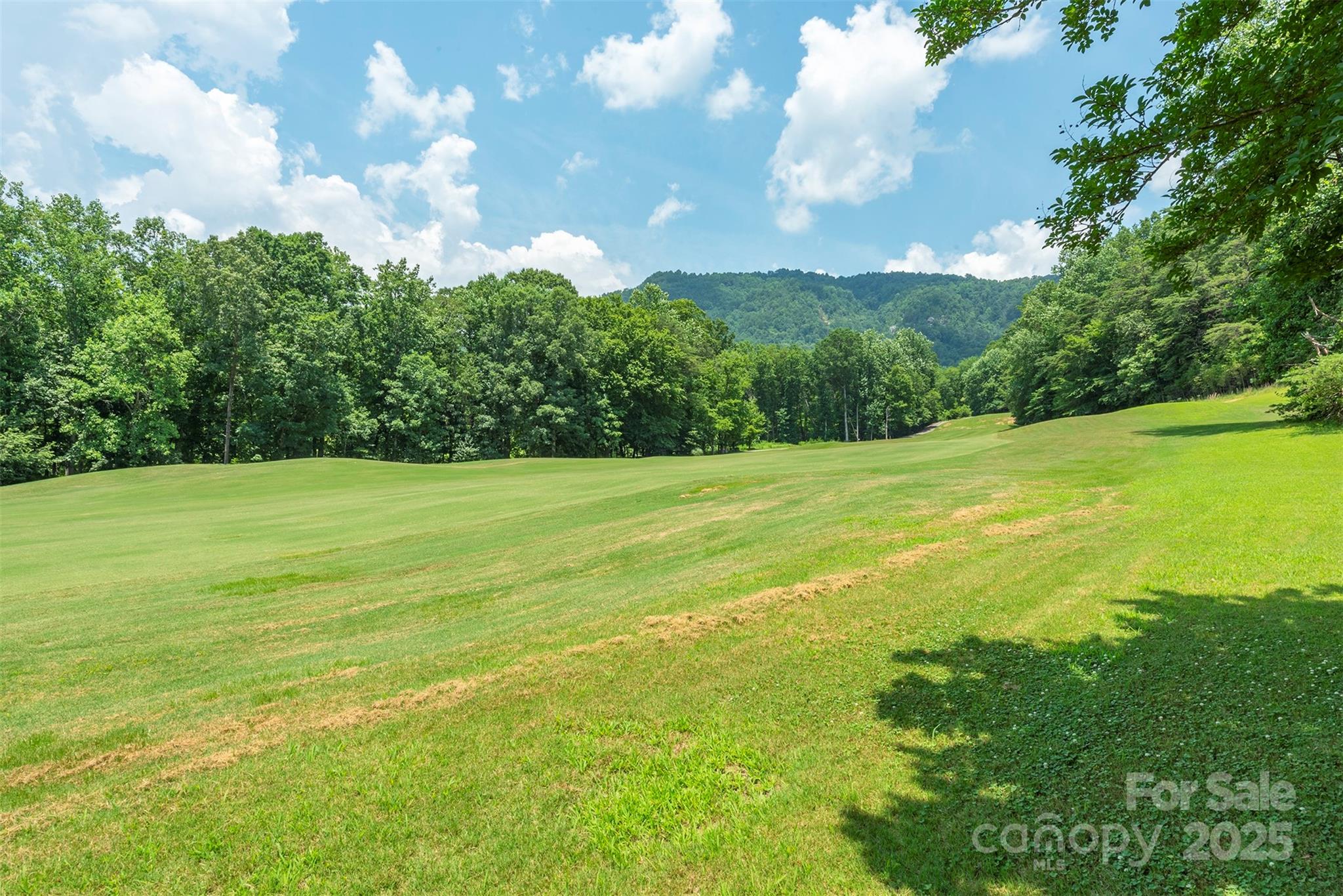 Rumbling Bald on Lake Lure - Residential