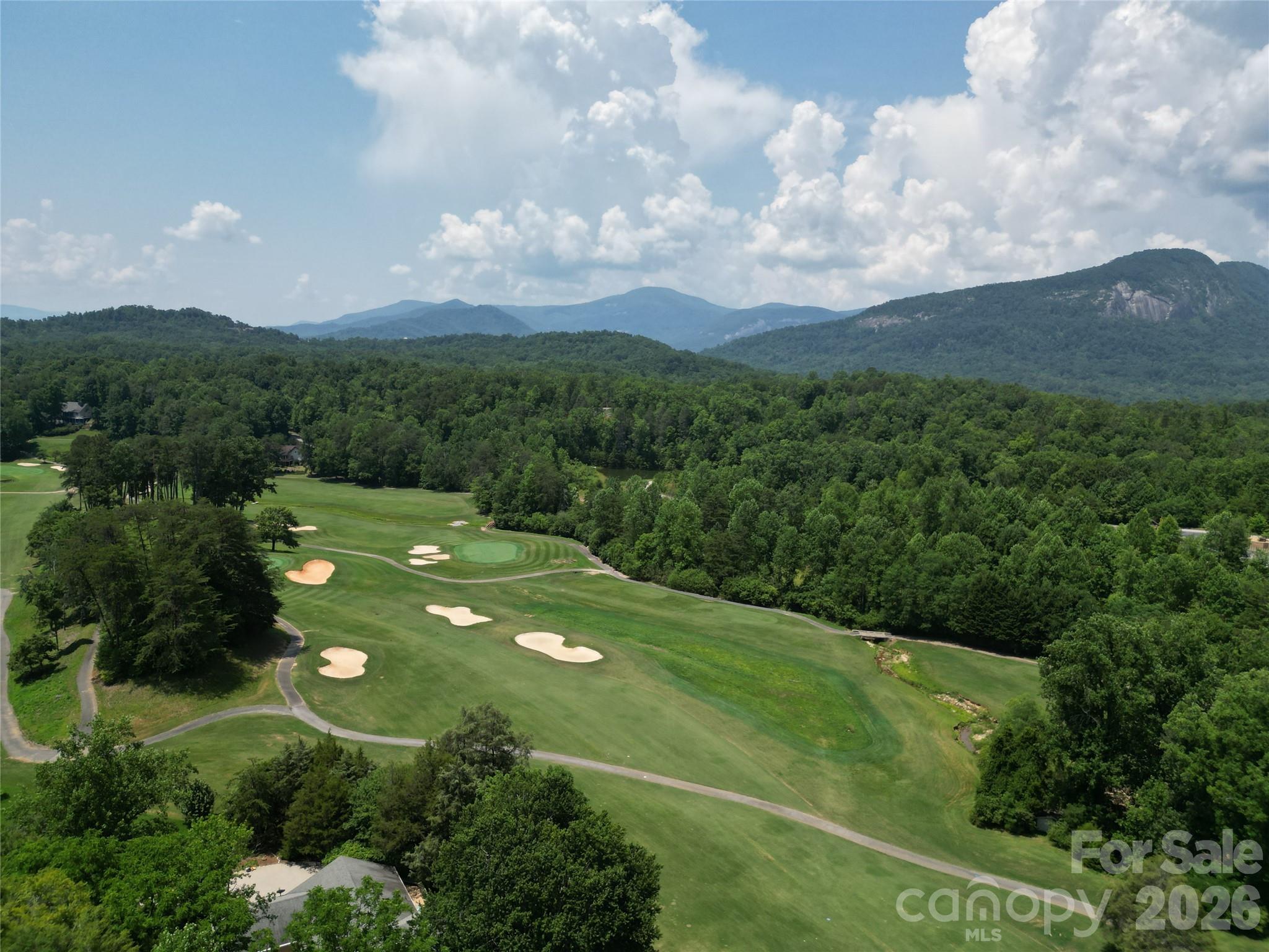 Rumbling Bald on Lake Lure - Residential