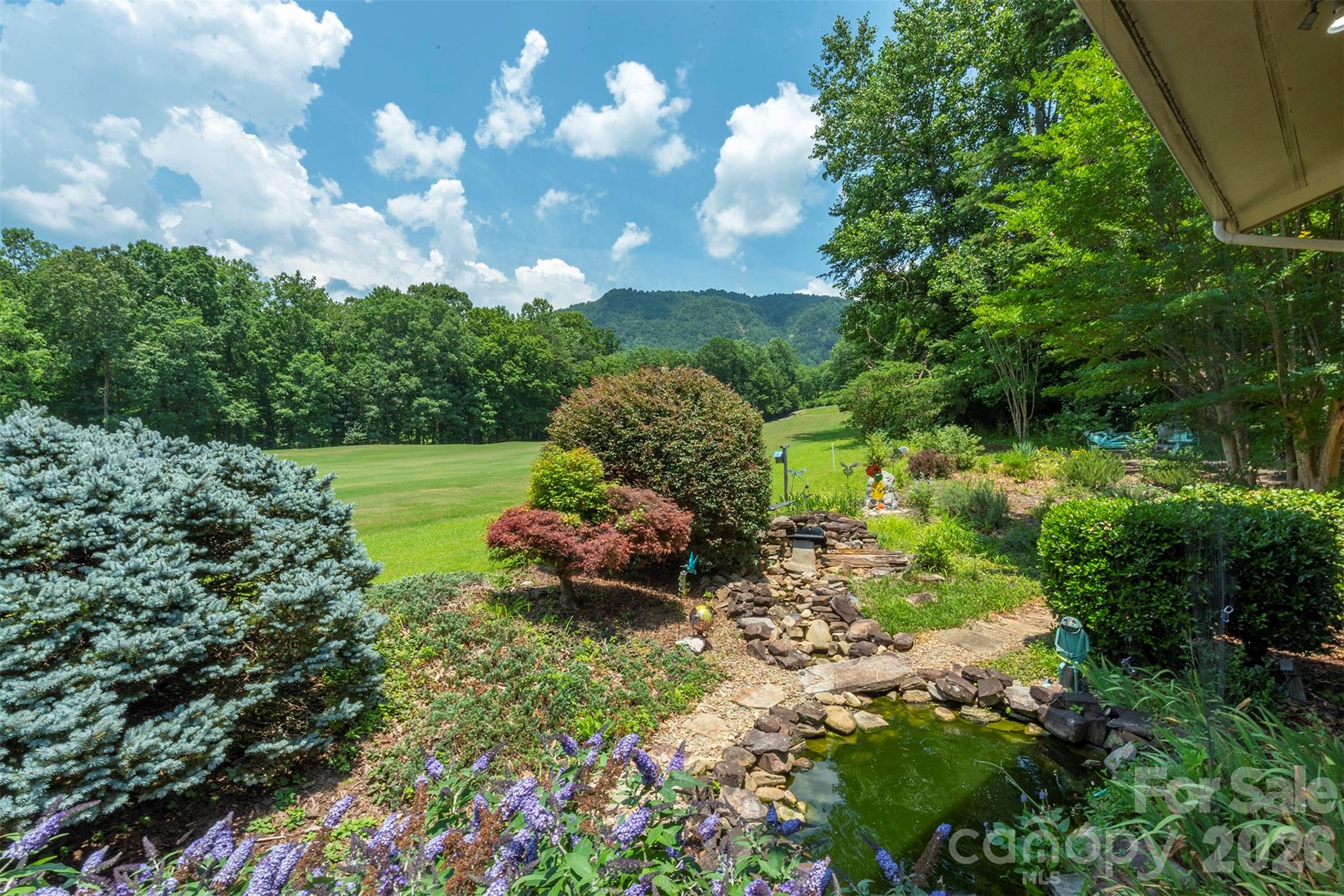 Rumbling Bald on Lake Lure - Residential