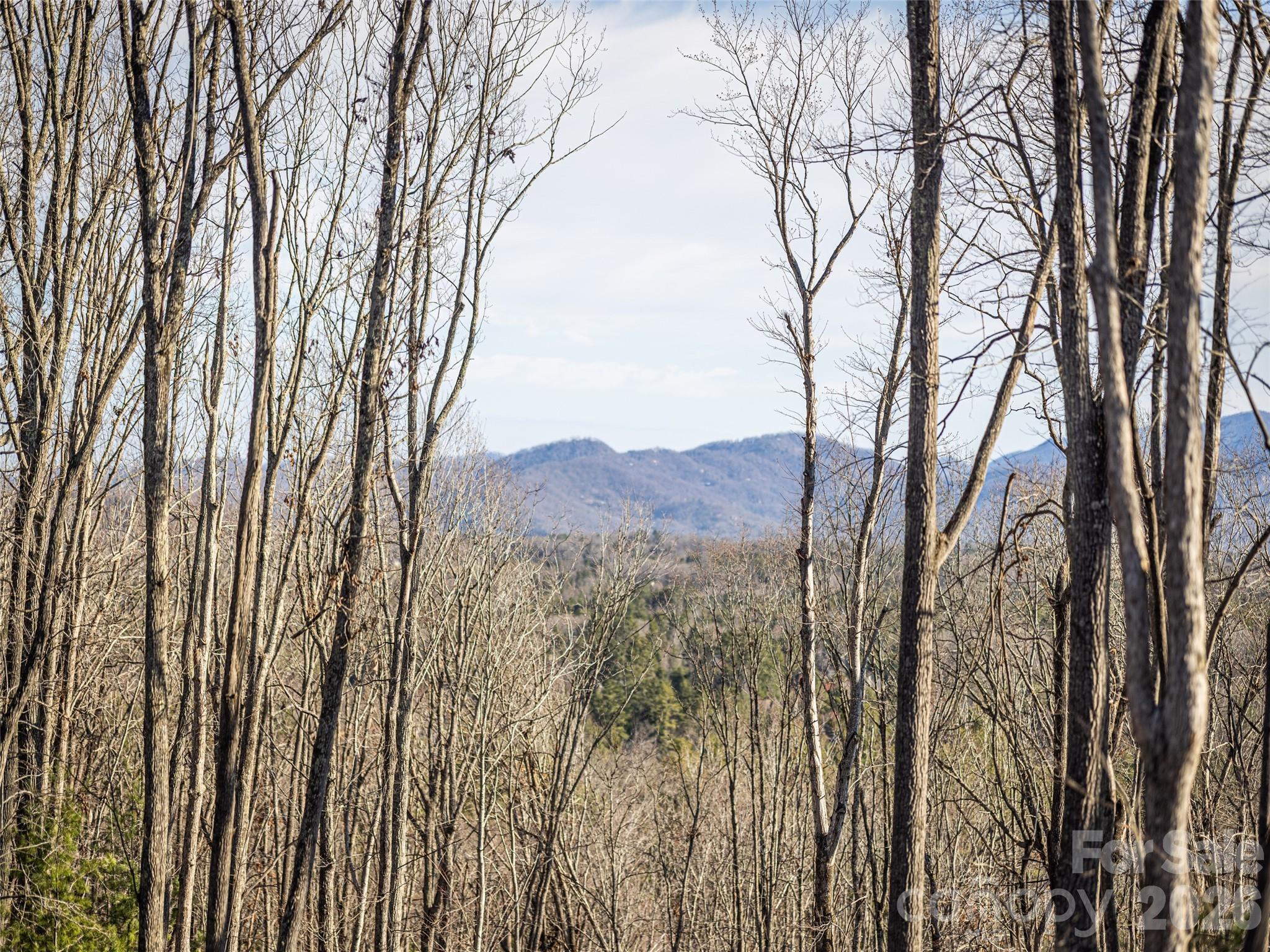 676 Tea House Drive 902