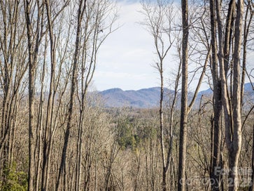 676 Tea House Drive 902 Asheville NC 28803