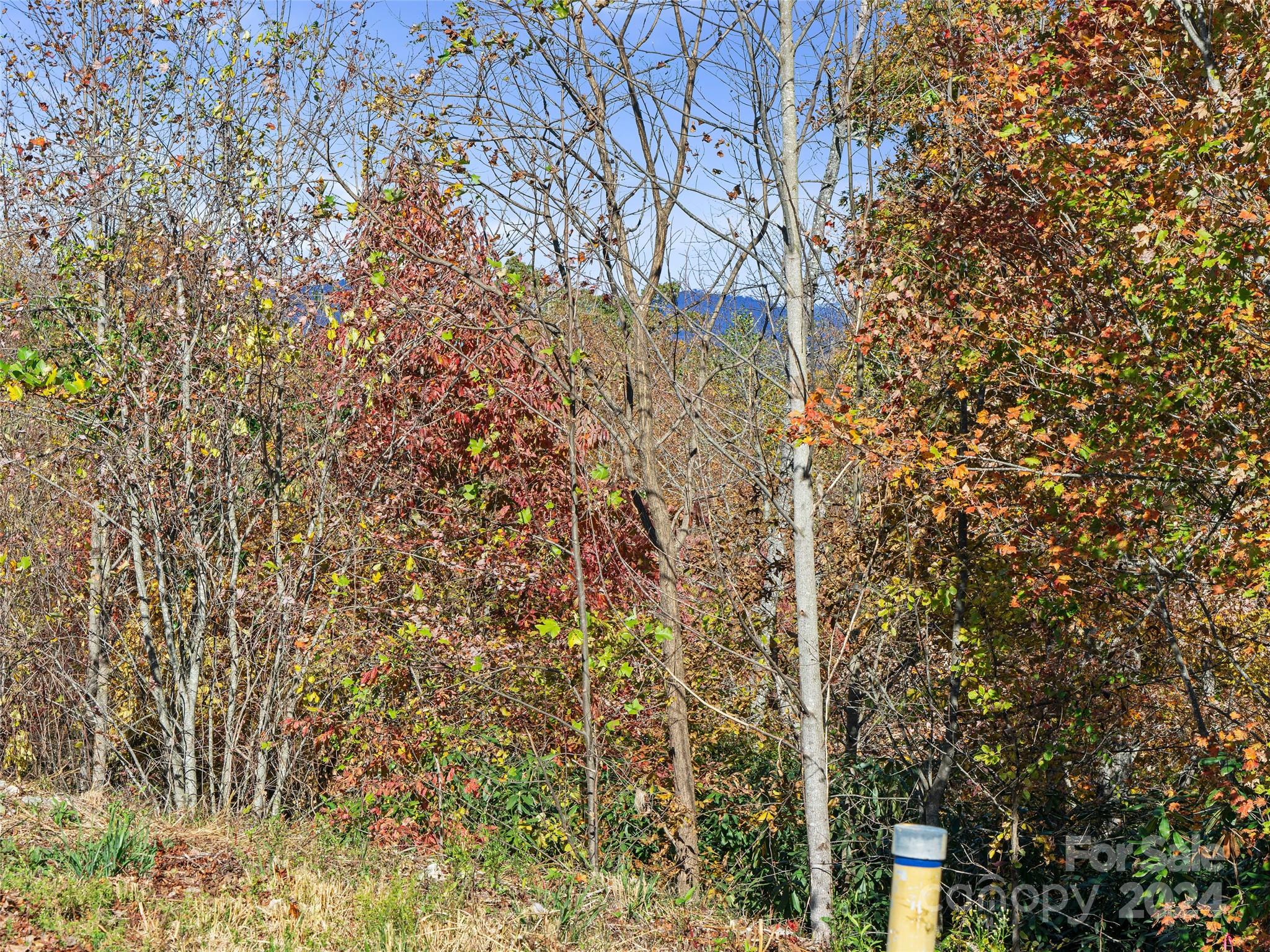 Carriage Park - Land