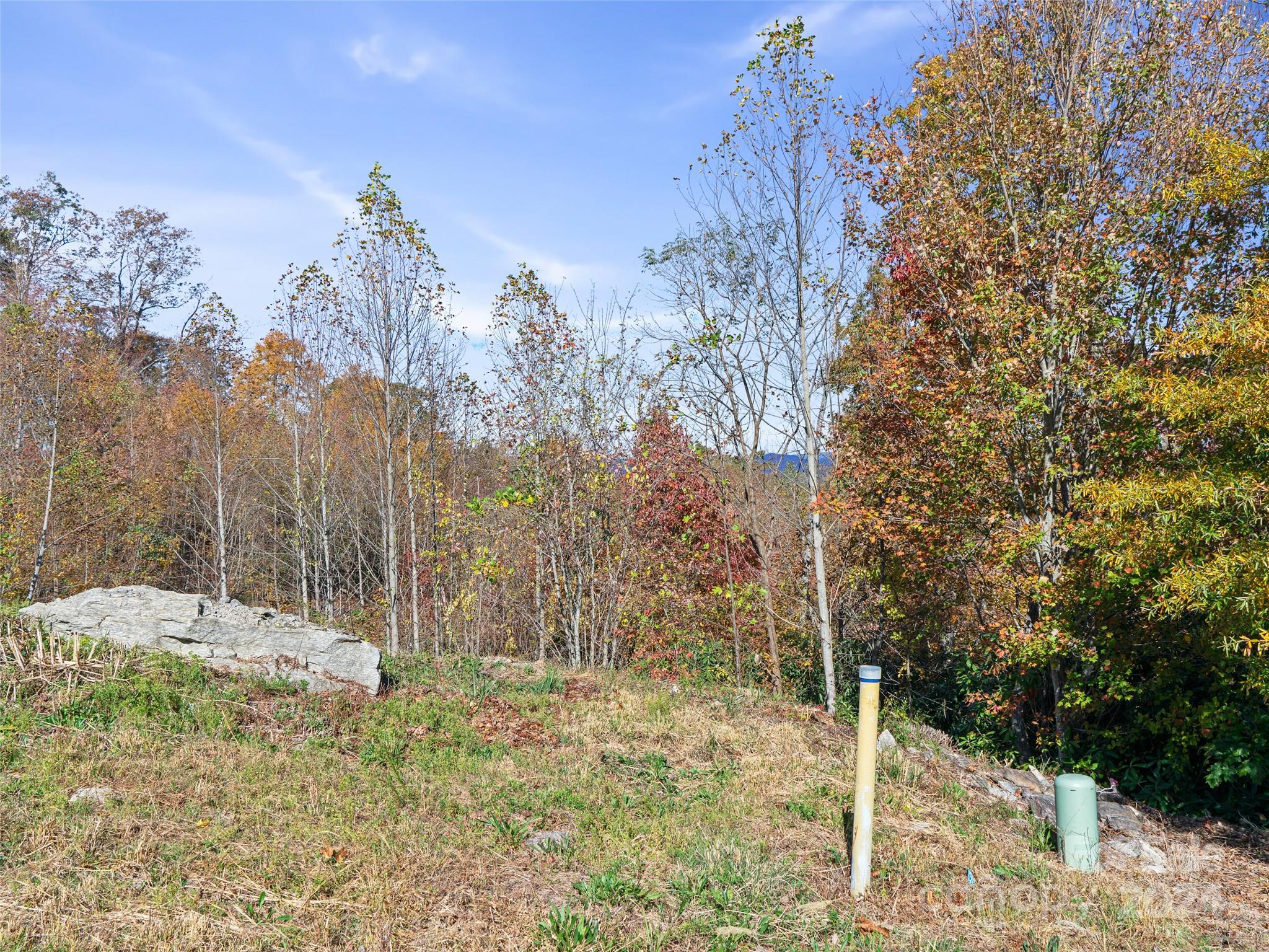 Carriage Park - Land