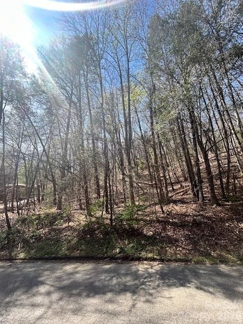 51 Fairway Drive 51 Lake Lure NC 28746