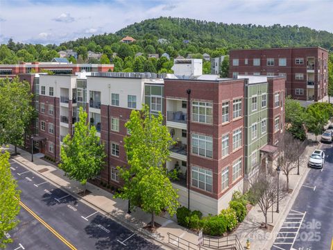 5 Farleigh Street 201 Asheville NC 28803