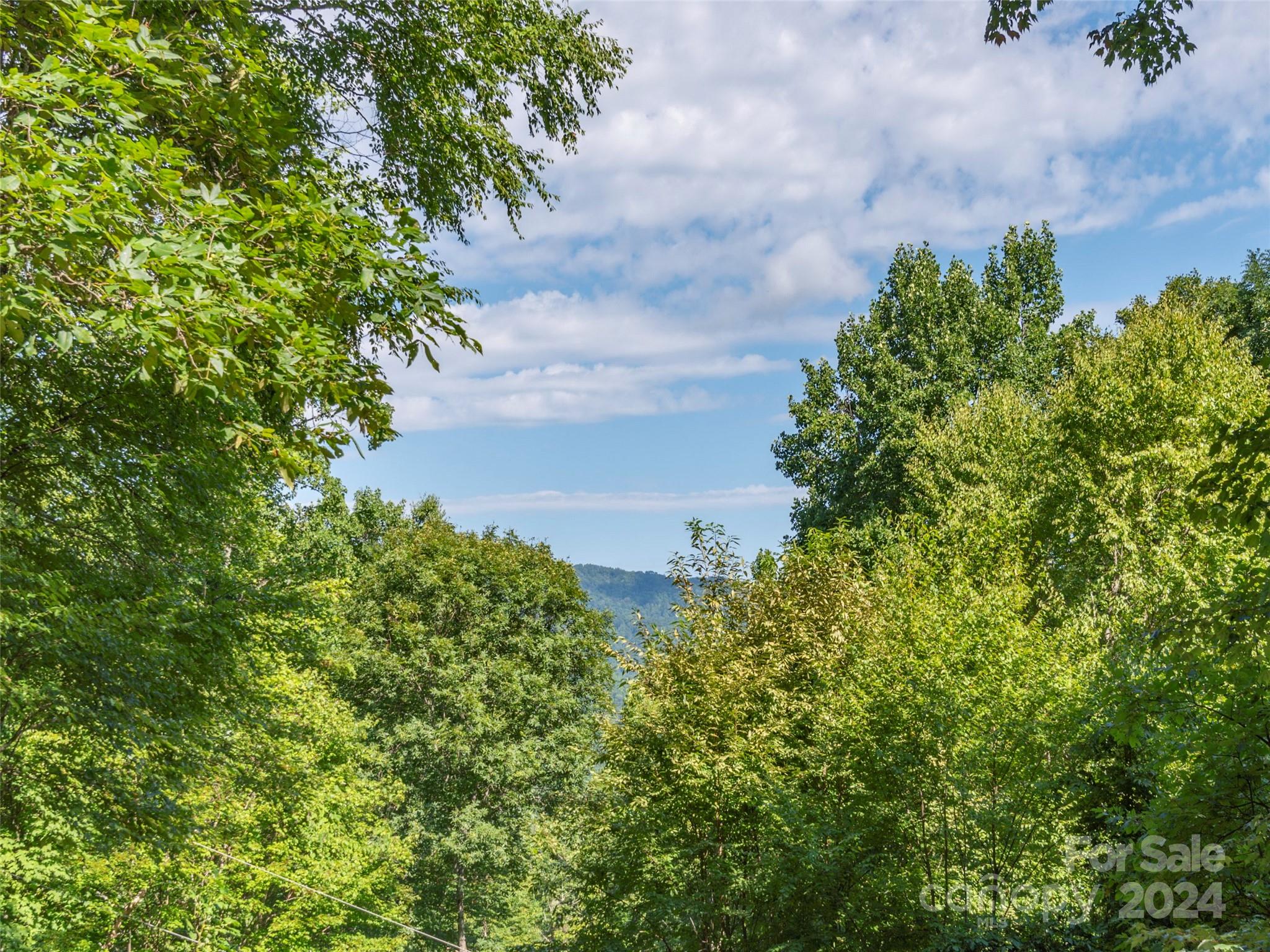 Mountain Chalet - Residential