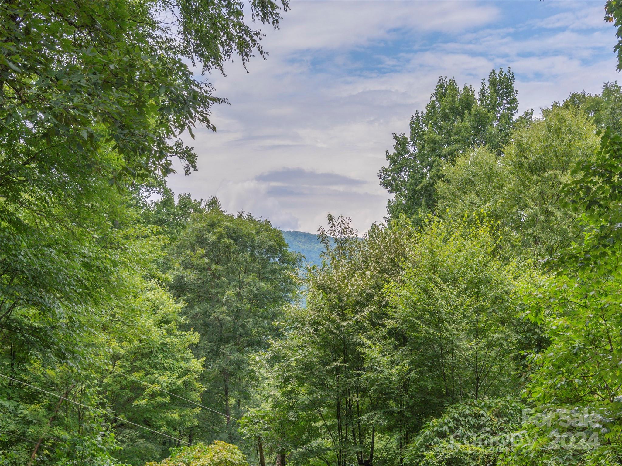 Mountain Chalet - Residential