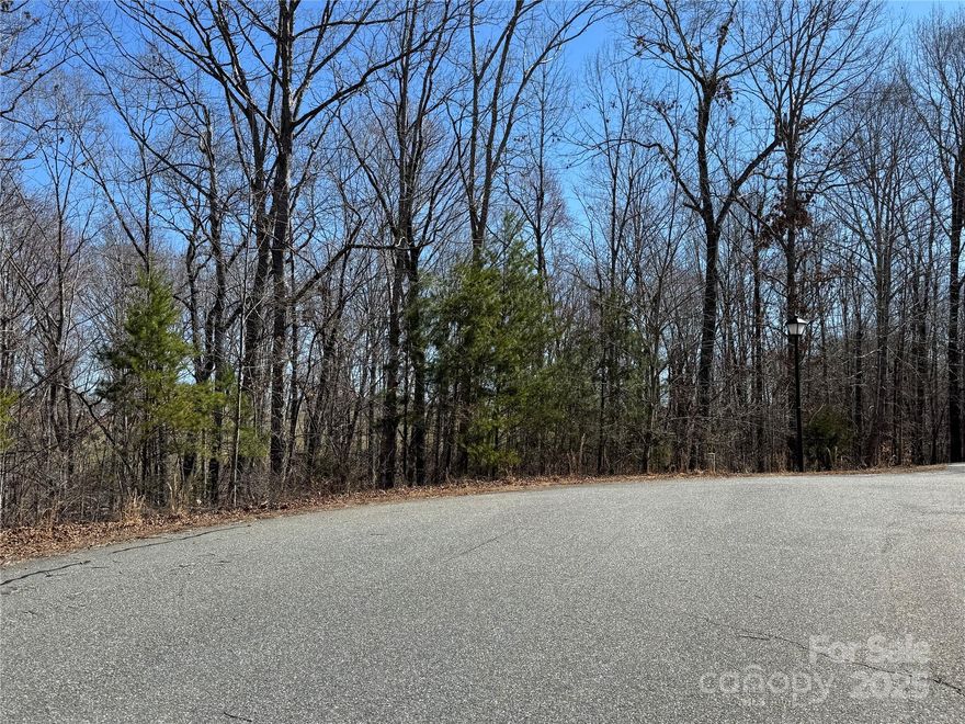 Discover the perfect opportunity to build your dream home, vacation retreat, or investment property in the serene and sought-after Ole Plantation in Rutherfordton, NC. This rare opportunity includes 5.86 acres of land already divided into 3 separate lots, providing flexibility for multiple builds or a spacious single estate. Currently the combination of the lots have $1400 annual HOA fees but if divided into 3, the HOA fee would be $2100 annually.
This property is perfect for anyone looking to enjoy the peaceful lifestyle of the NC foothills, with convenience of nearby urban hubs of Charlotte and Asheville.  Close to recreation, dining, and local attractions.