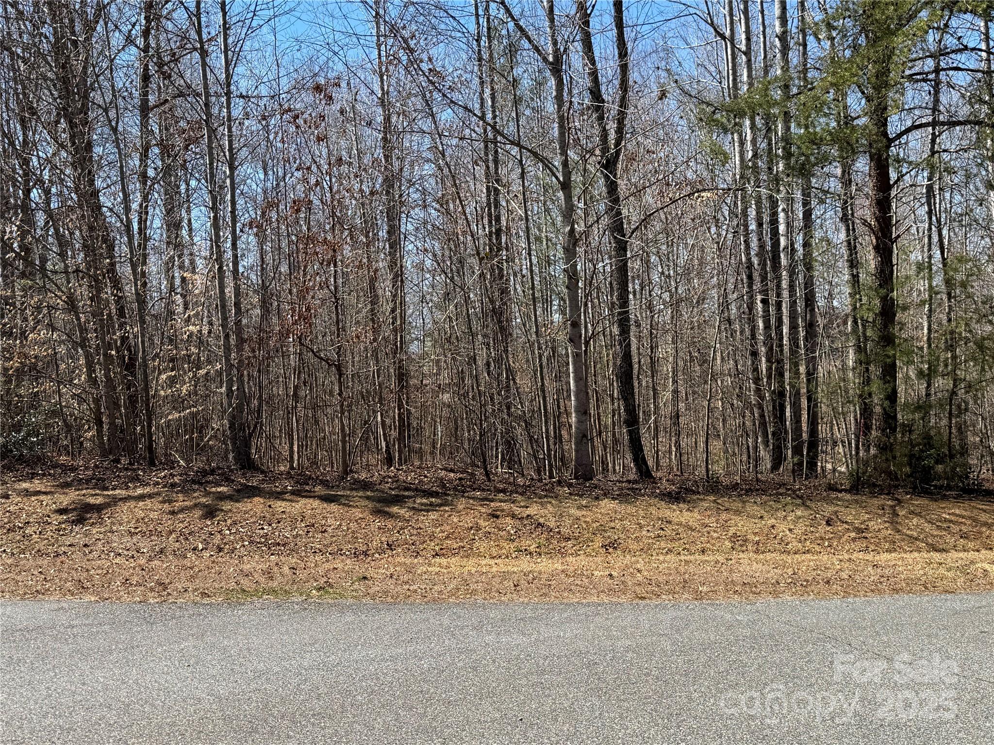 Ole Plantation - Land