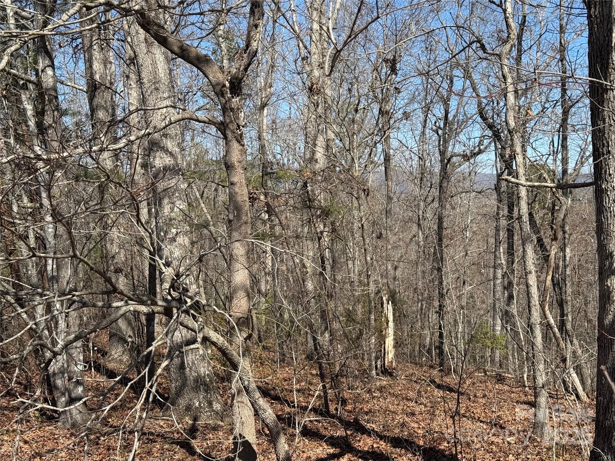 Ole Plantation - Land