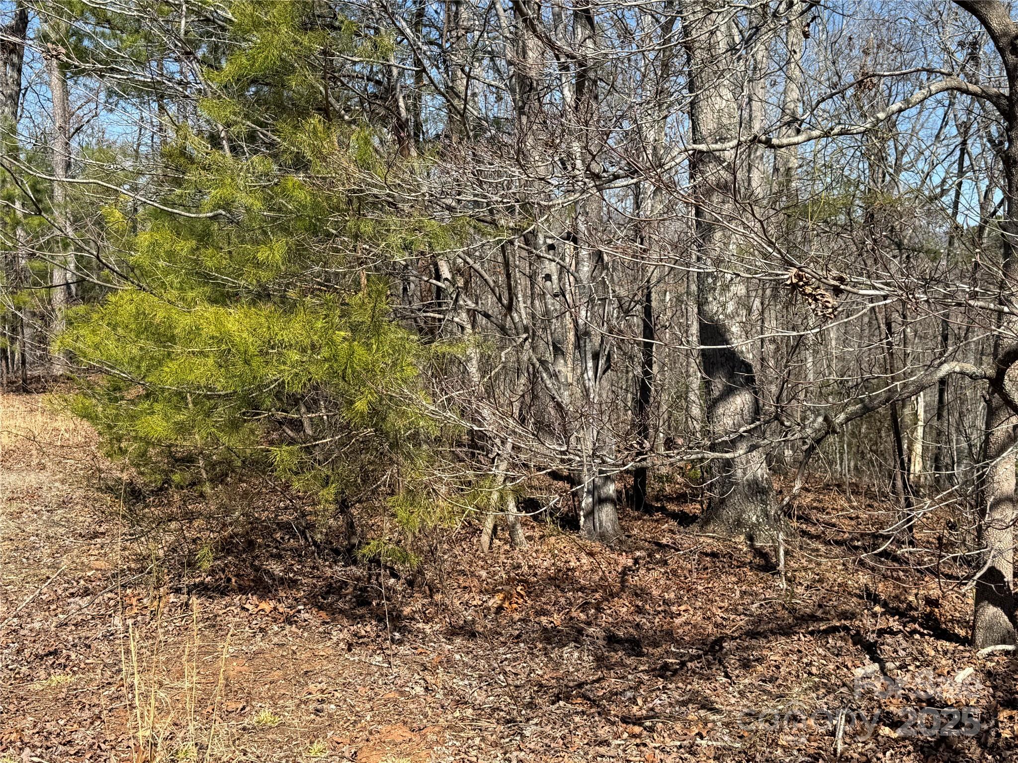 Ole Plantation - Land