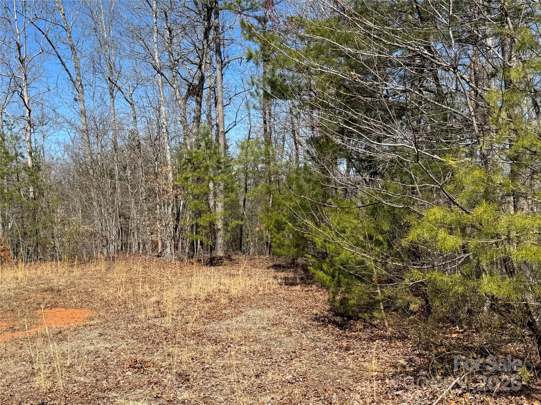 Ole Plantation - Land