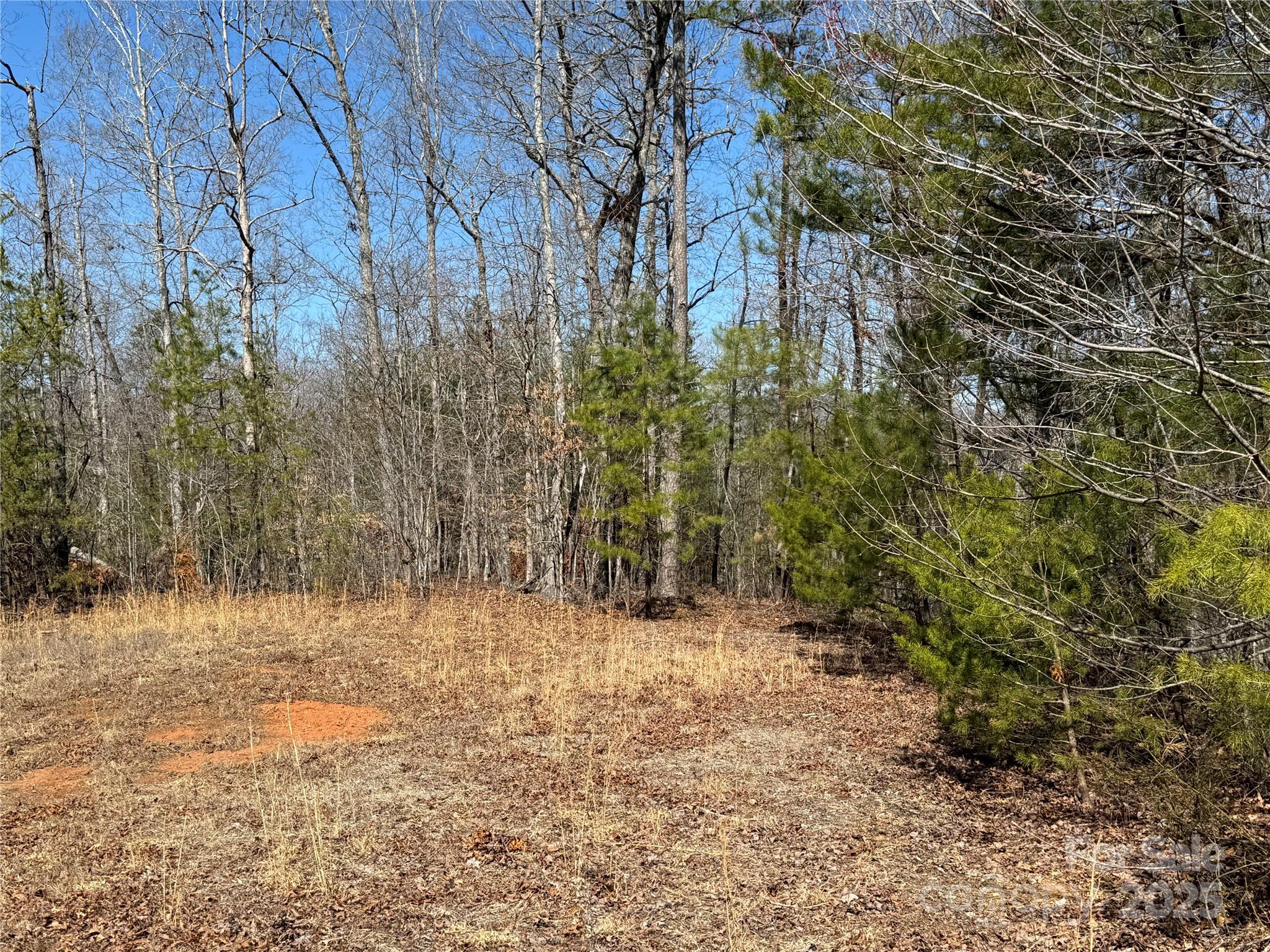 Ole Plantation - Land